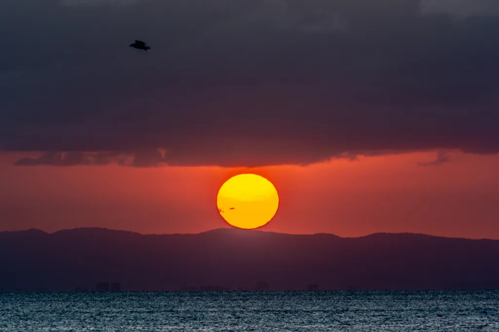 Golden Horizon
