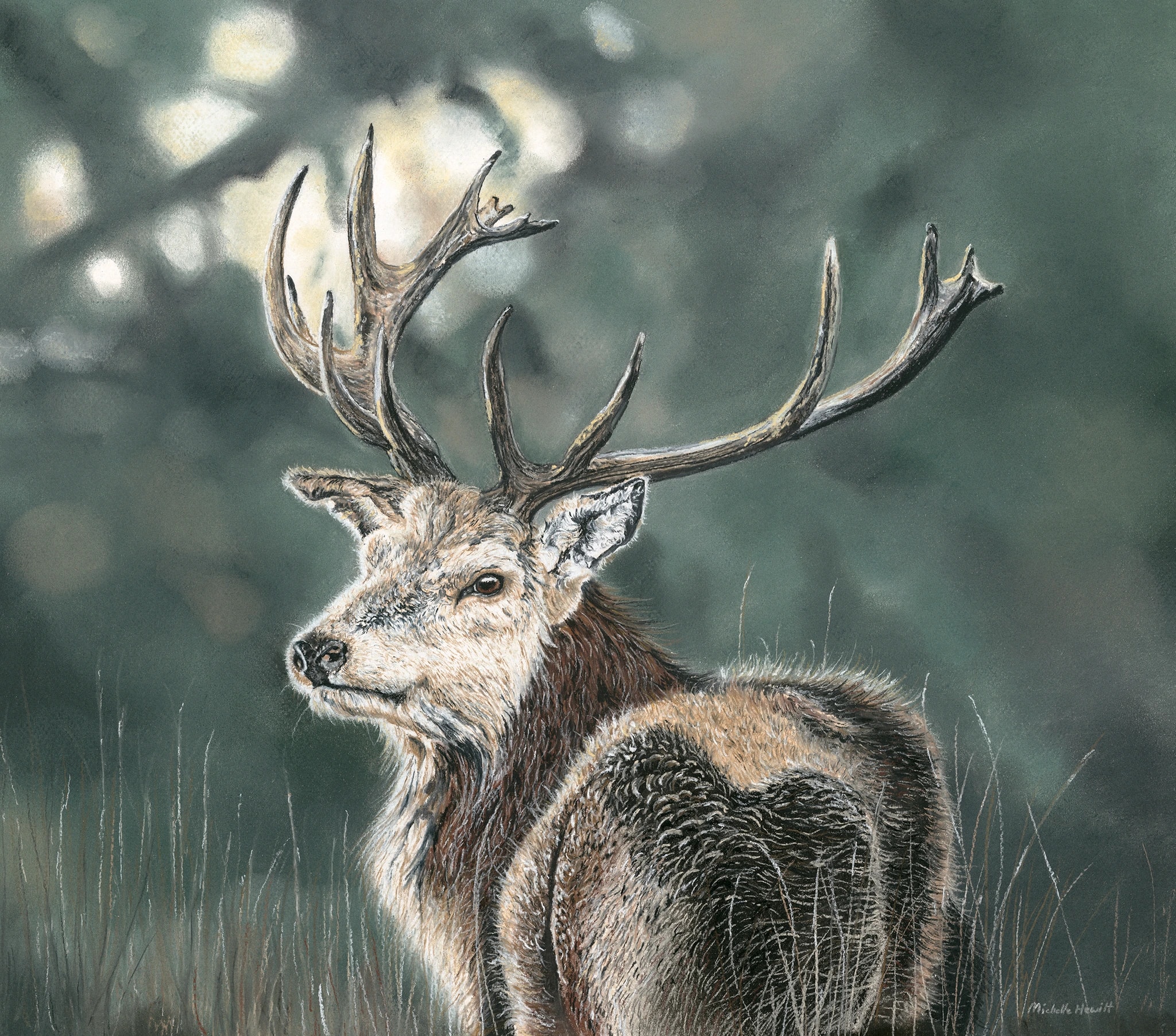 The Watchful Stag