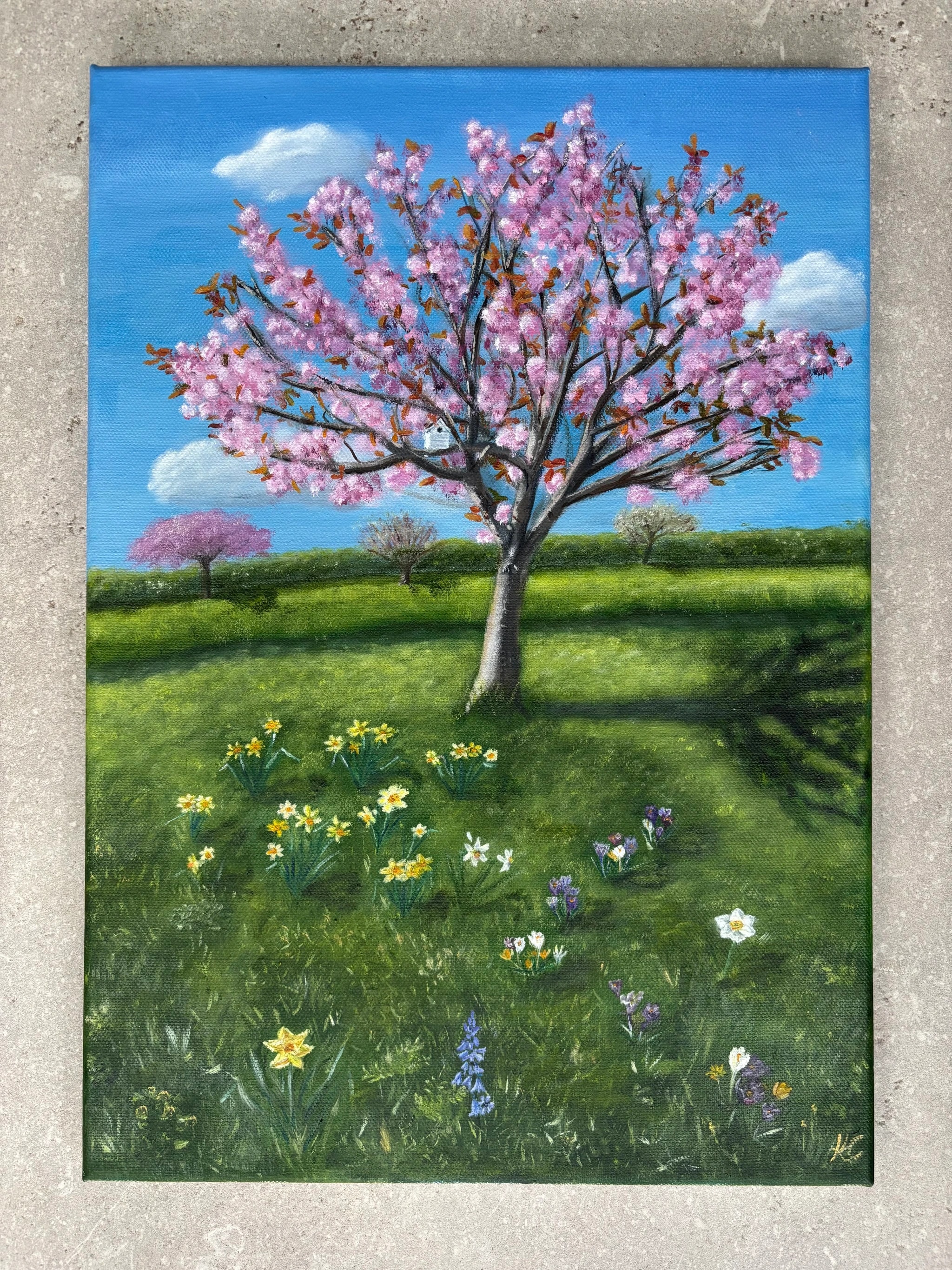 Spring Blossom Meadow