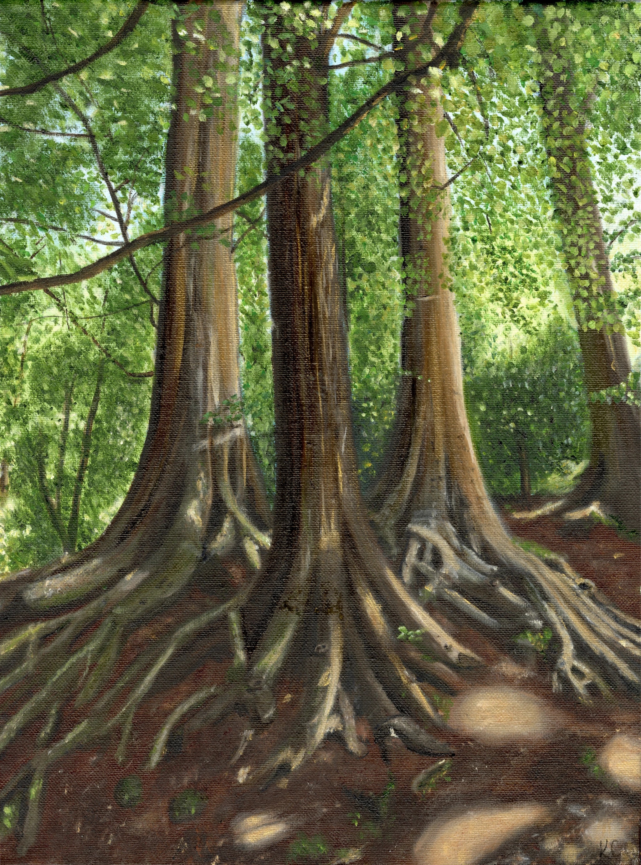 Whispering Trees