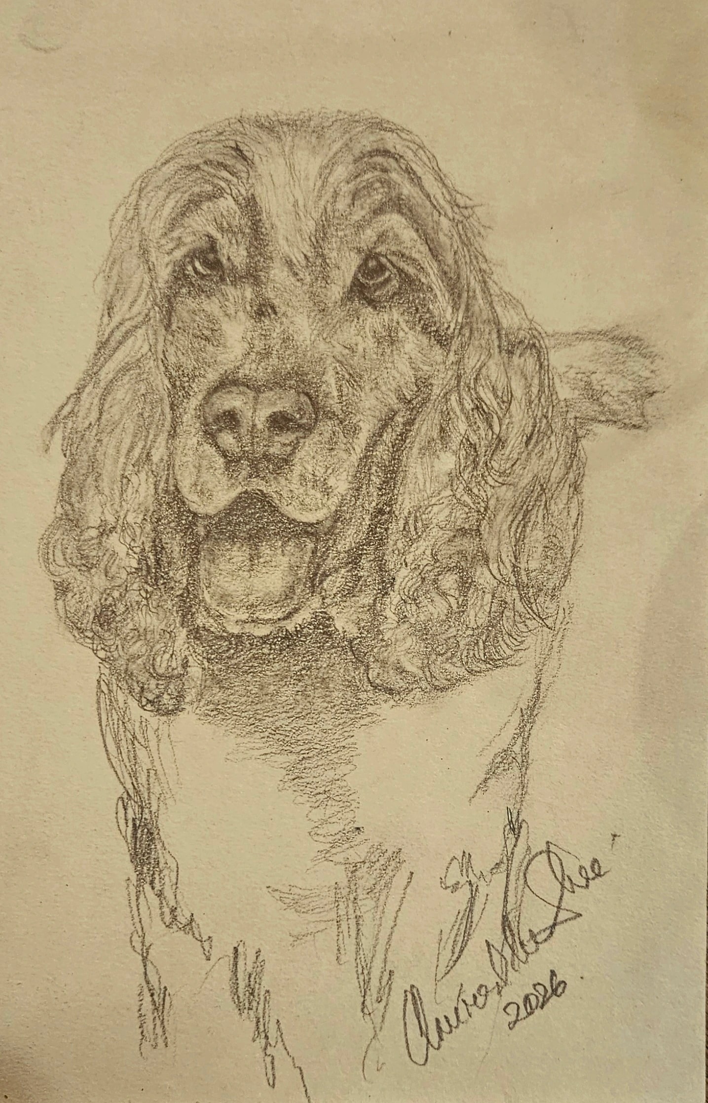 Gentle Dog Portrait