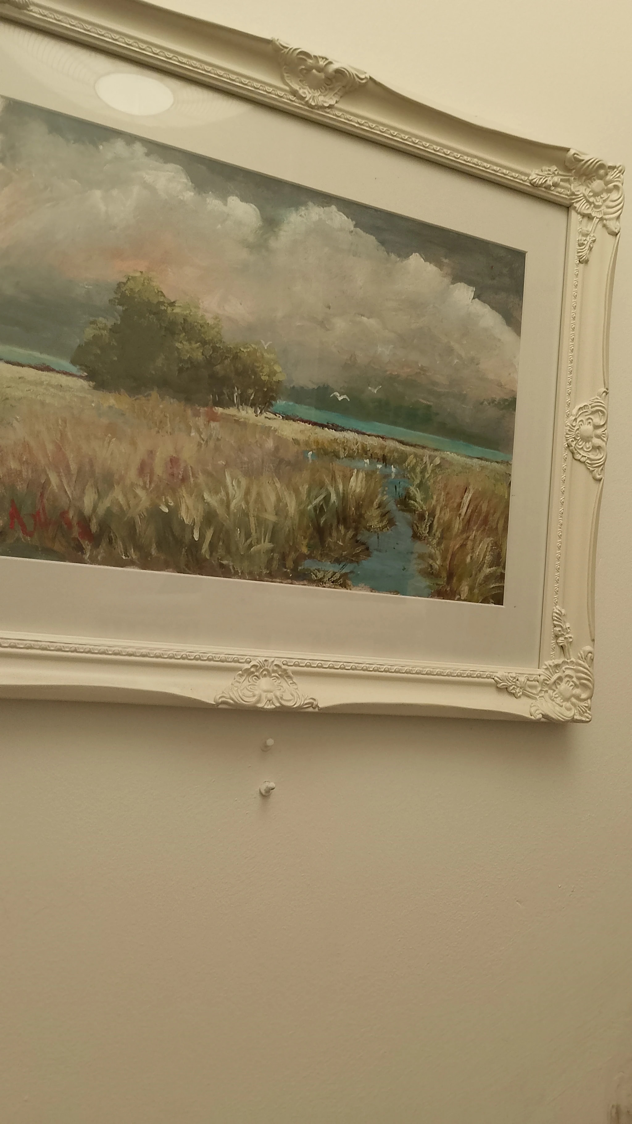 Clouds Over Meadow