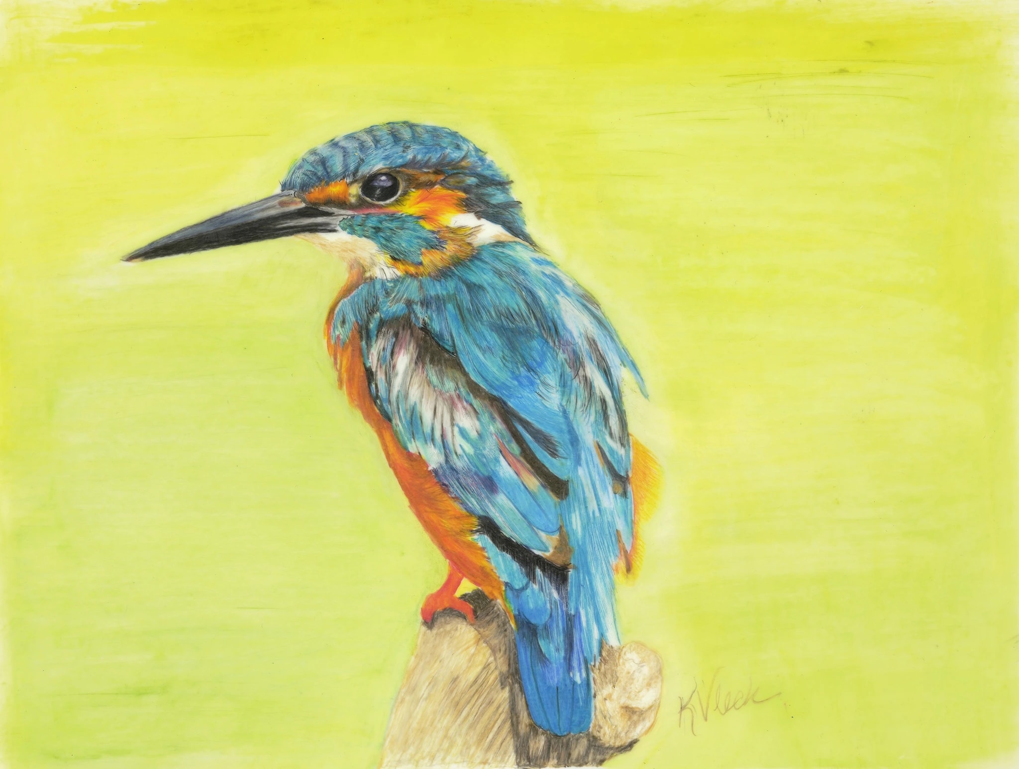 Kingfisher Perch