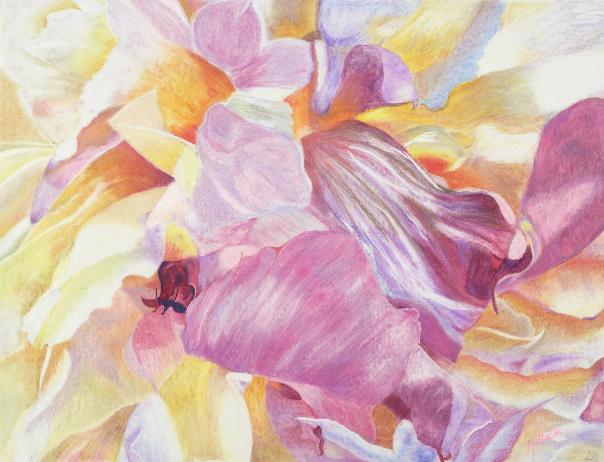 Peonies Bloom
