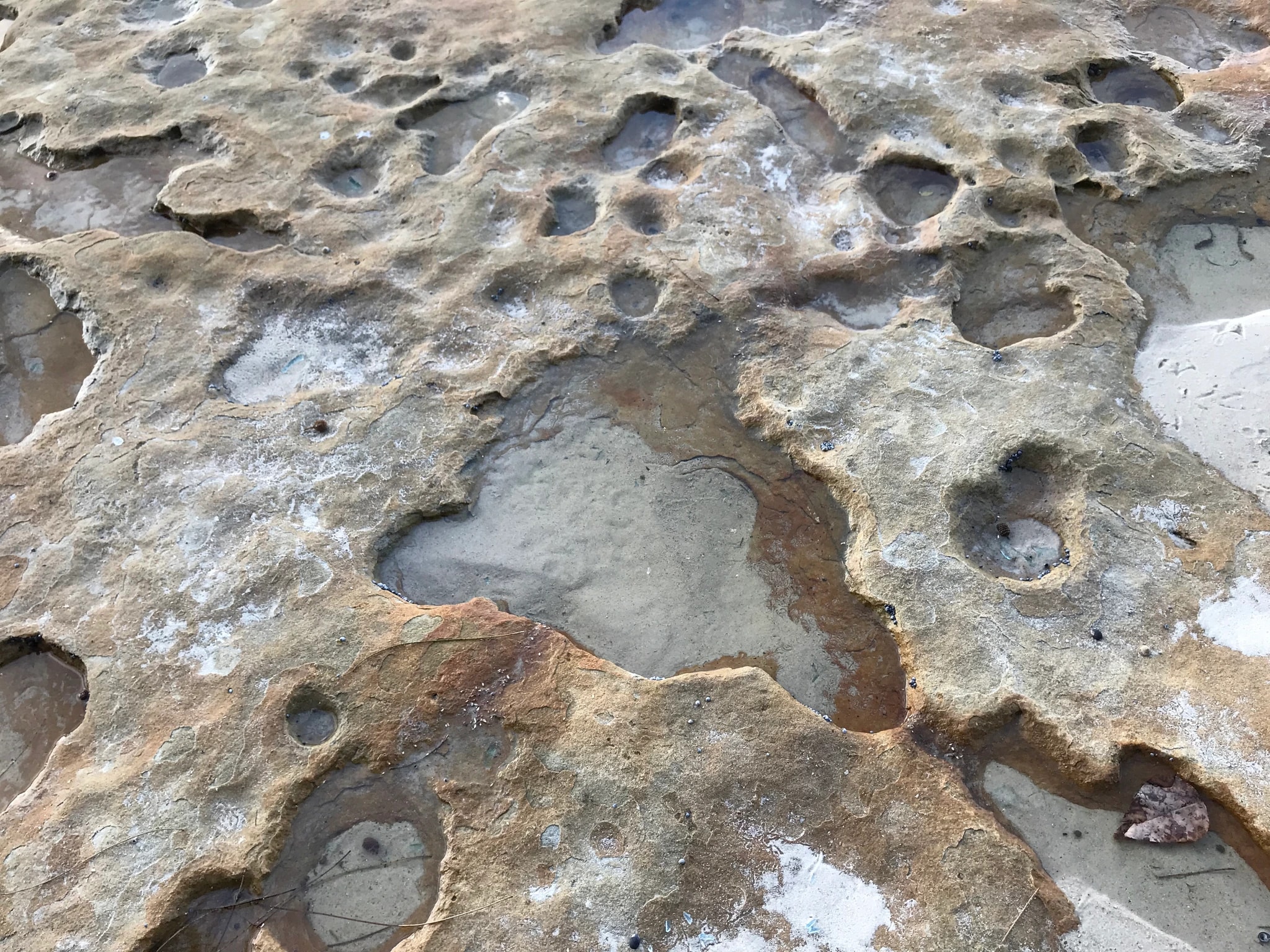 Textured Shoreline