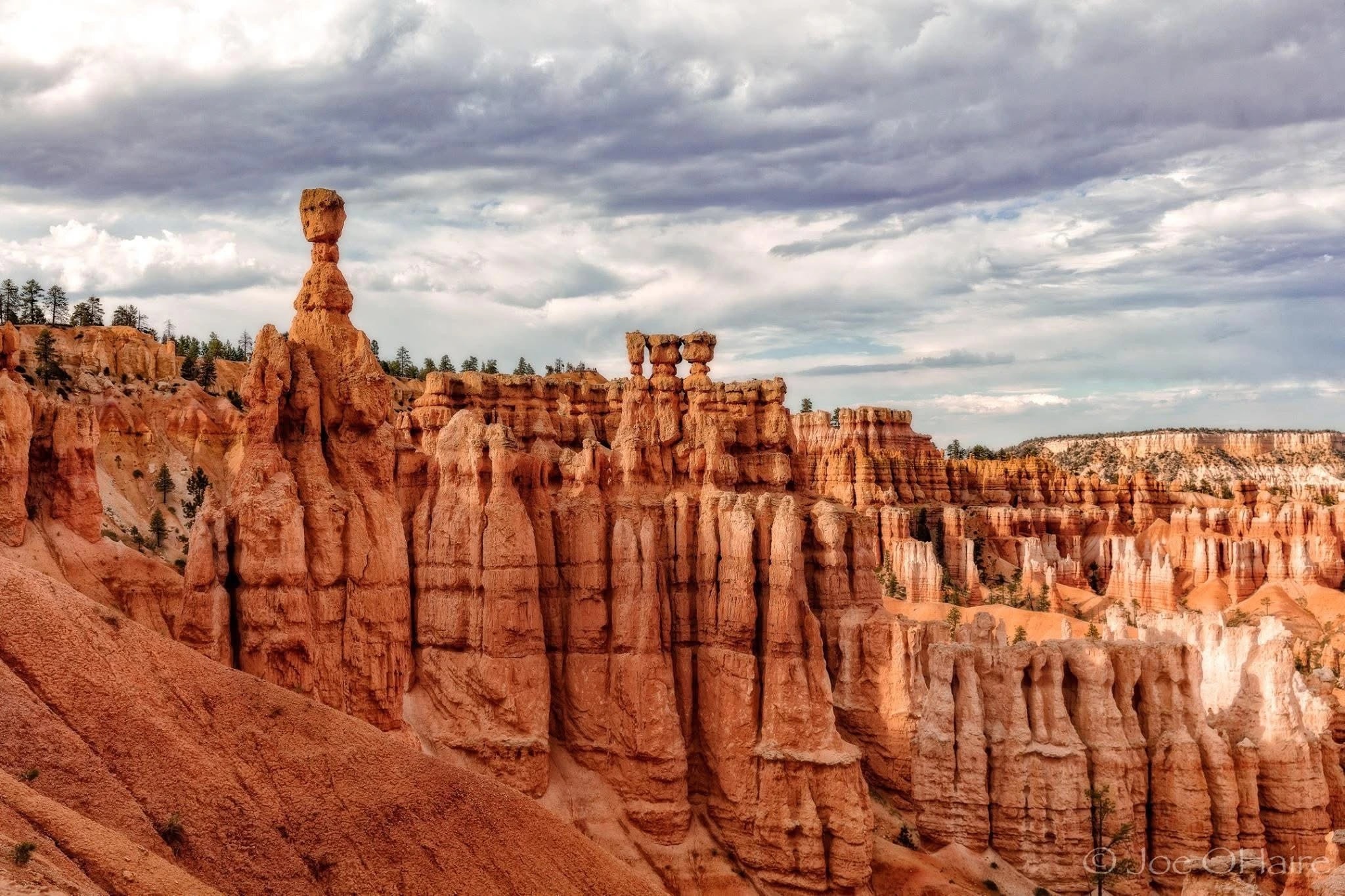 Redrock Sentinels