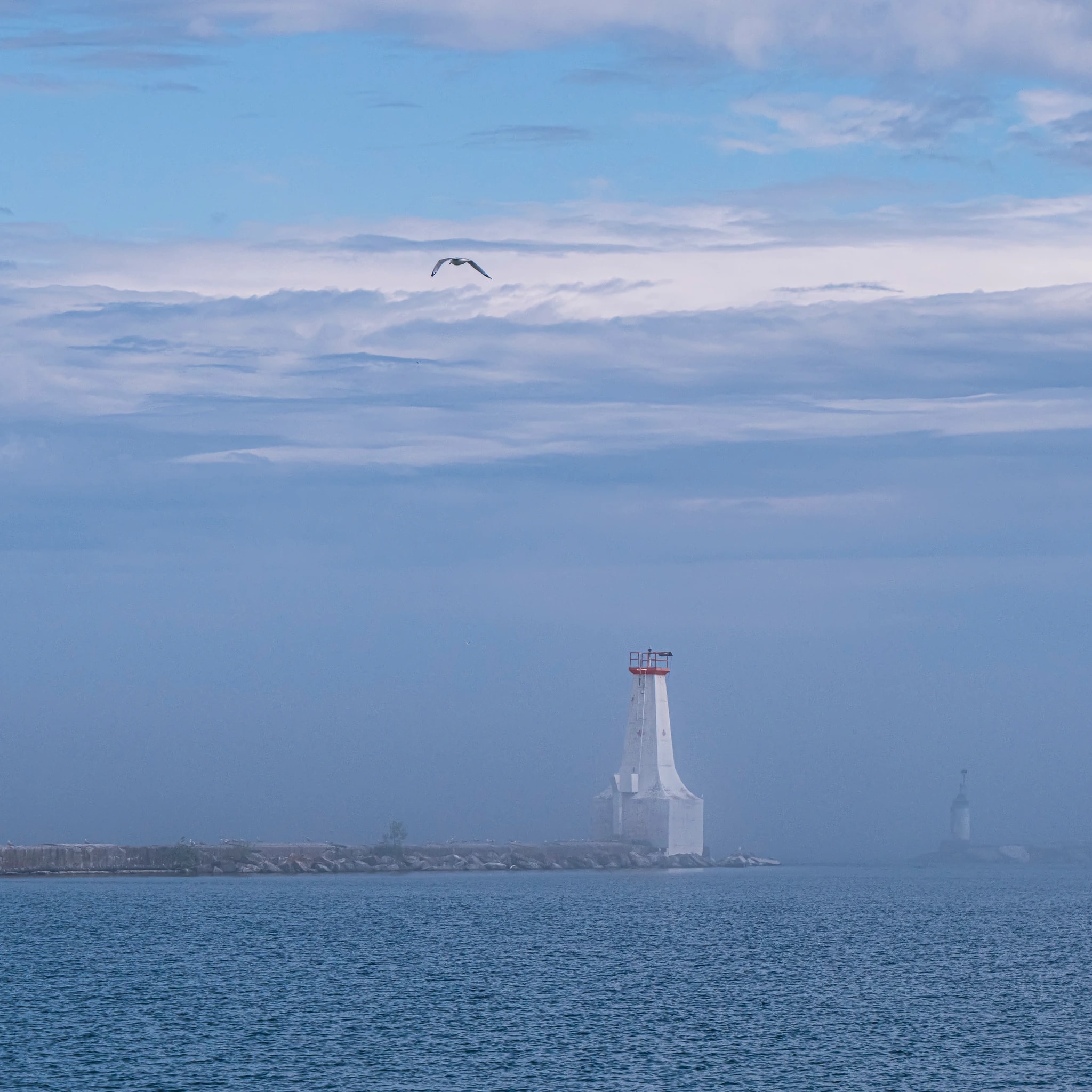 Lighthouse & Gull