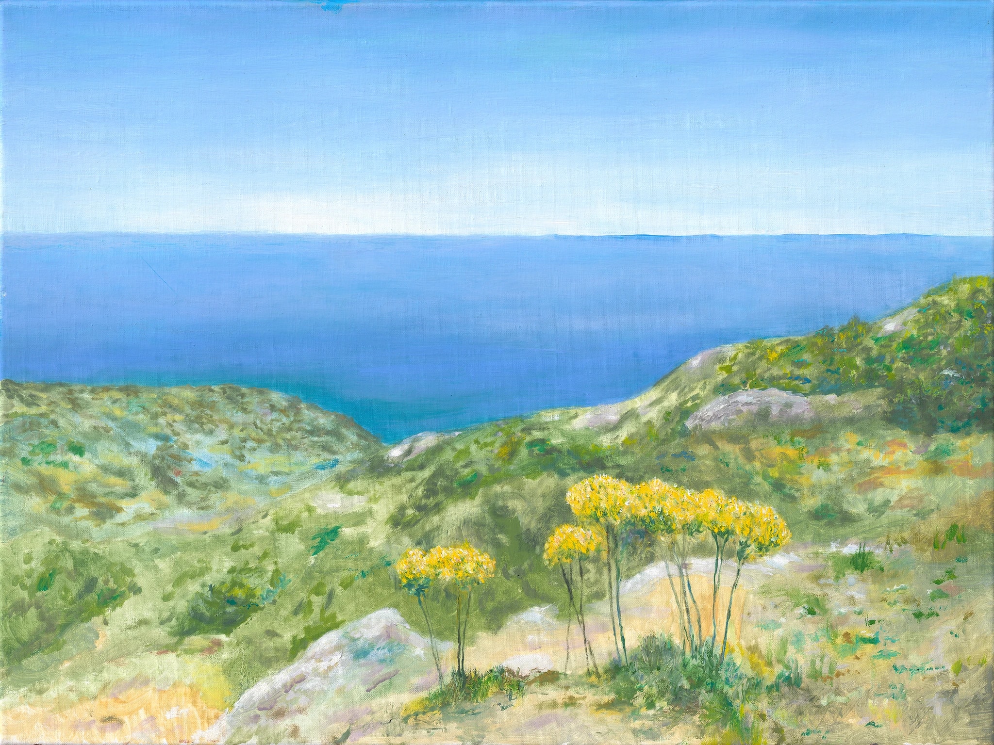 Coastal Blooms