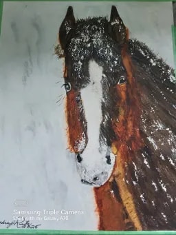 Artist profile picture