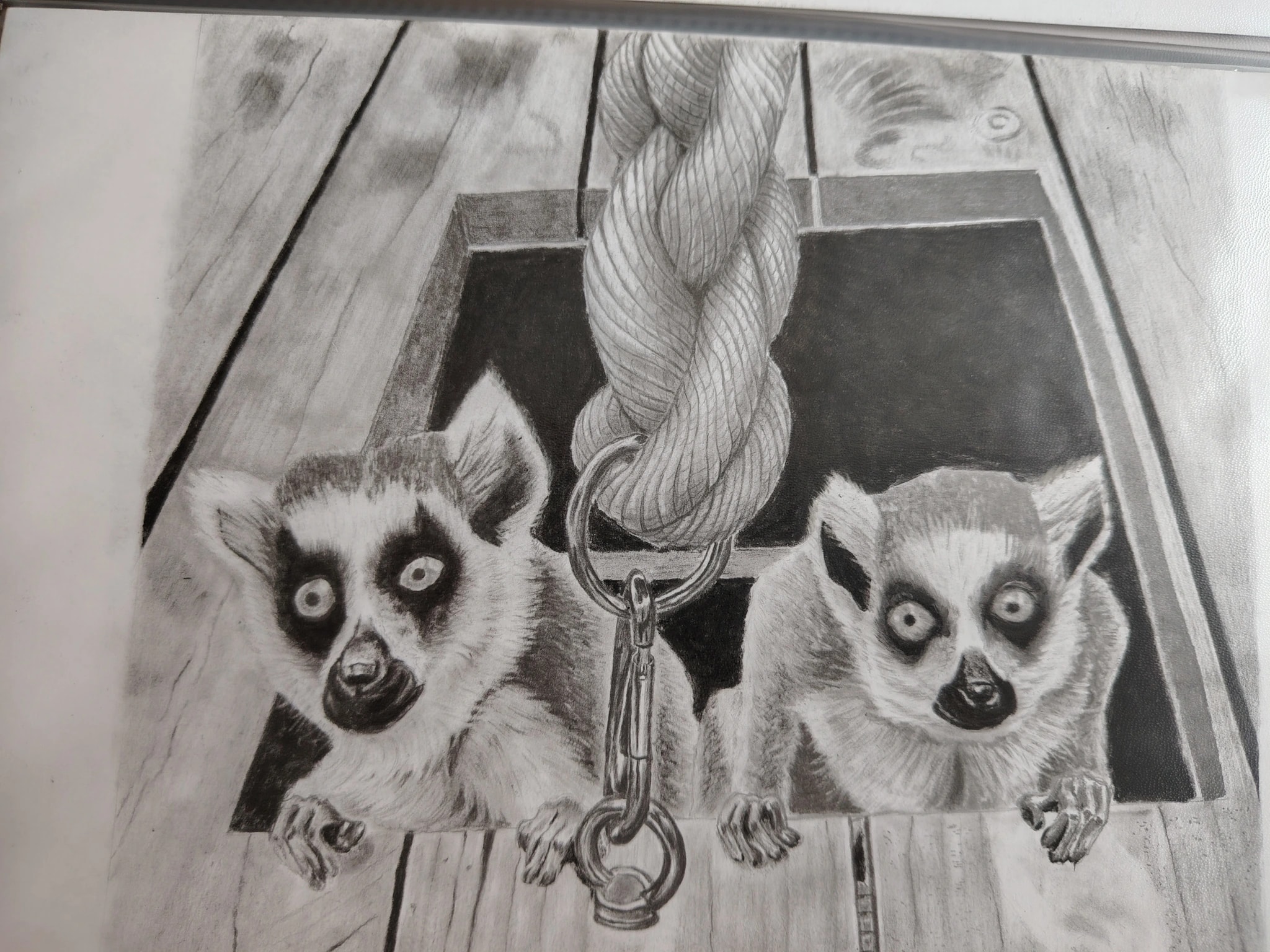 A Lemurs Inquisition