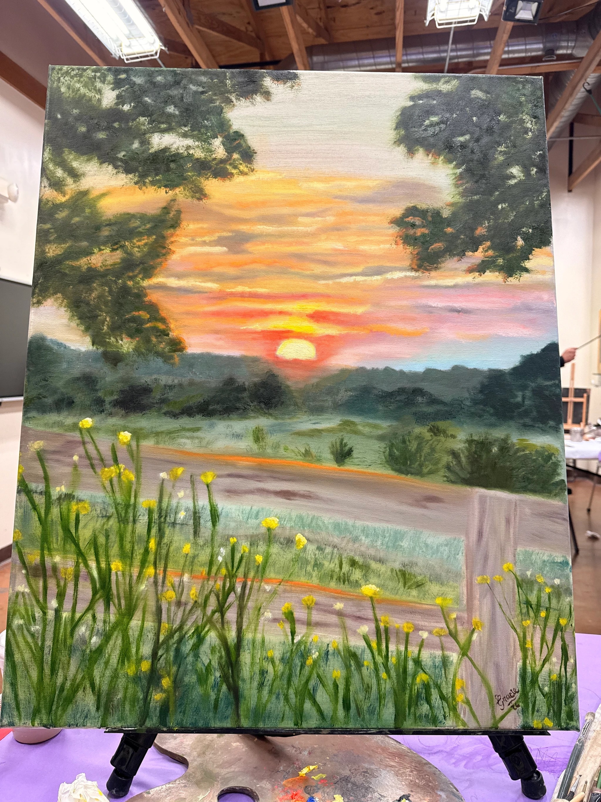 Sunset Meadow