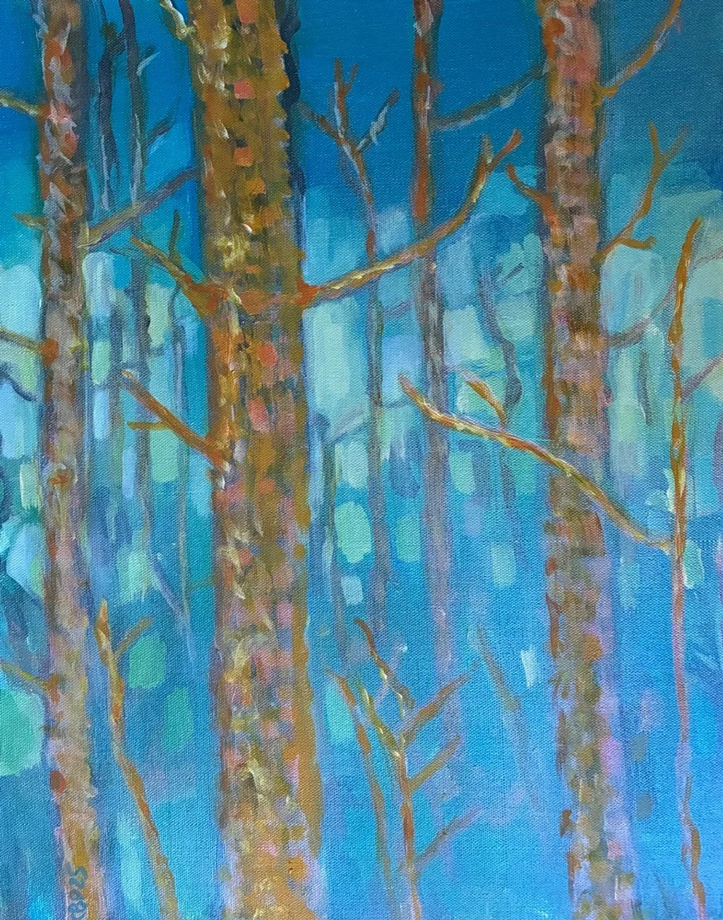 Woods ar Dusk