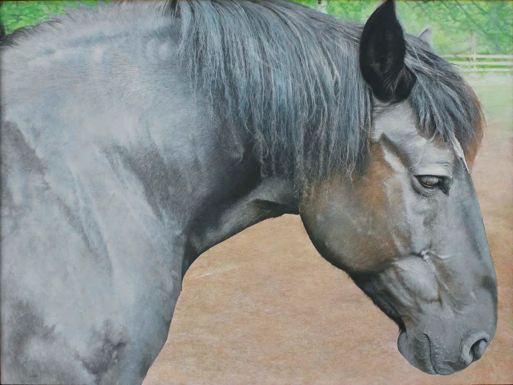 June (Percheron)