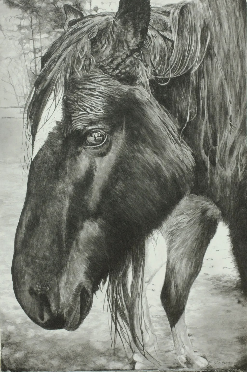 July (Percheron)