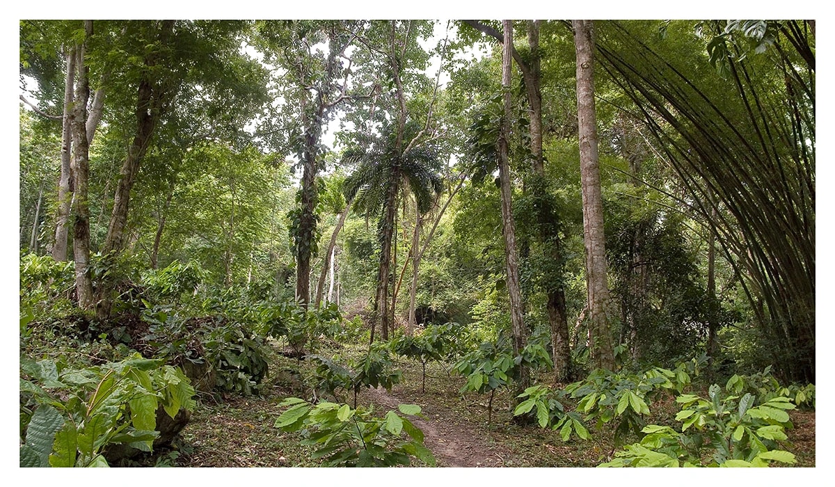 Hacienda El Casibi 1