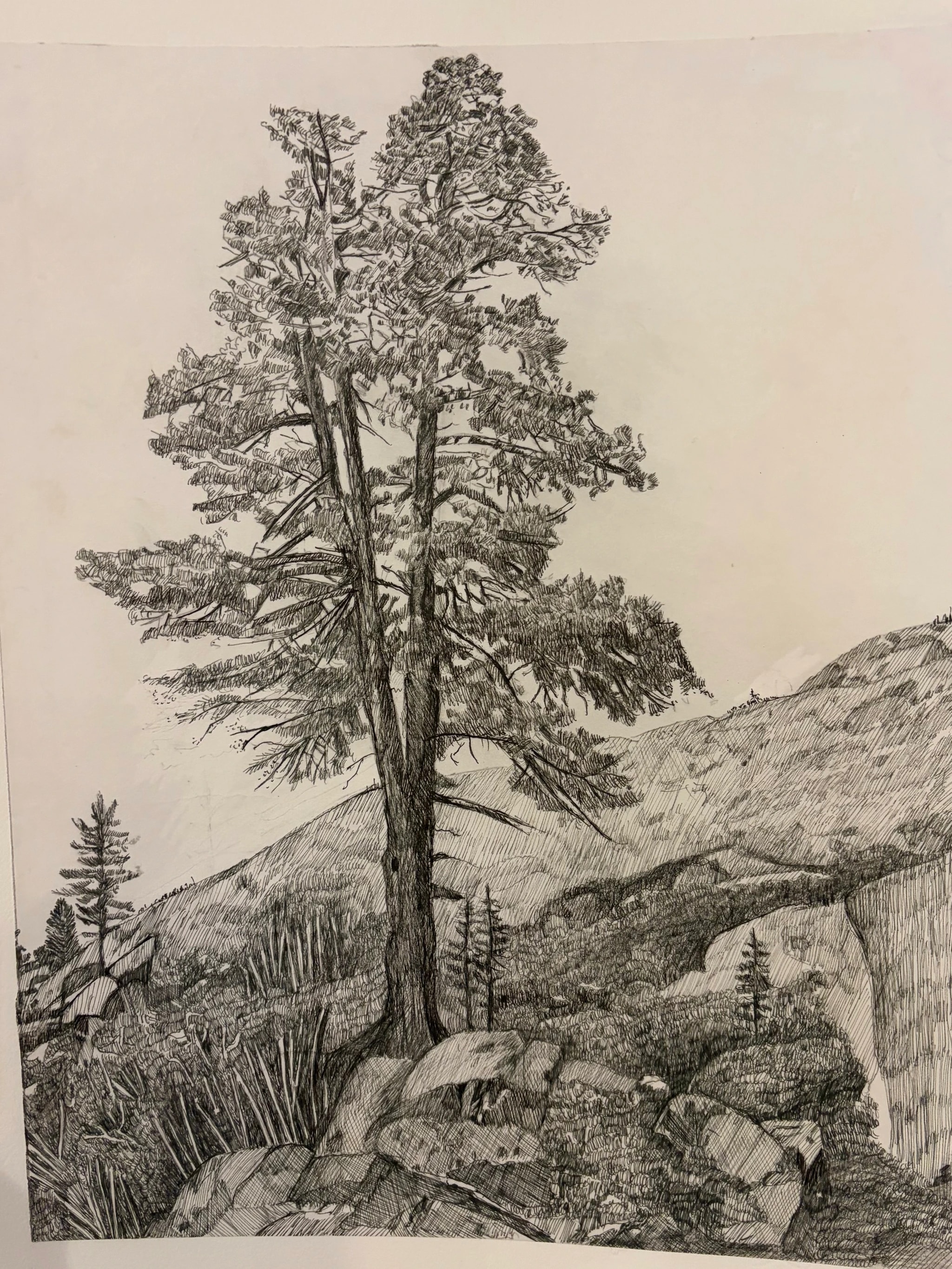 Mountain Tree Sketch