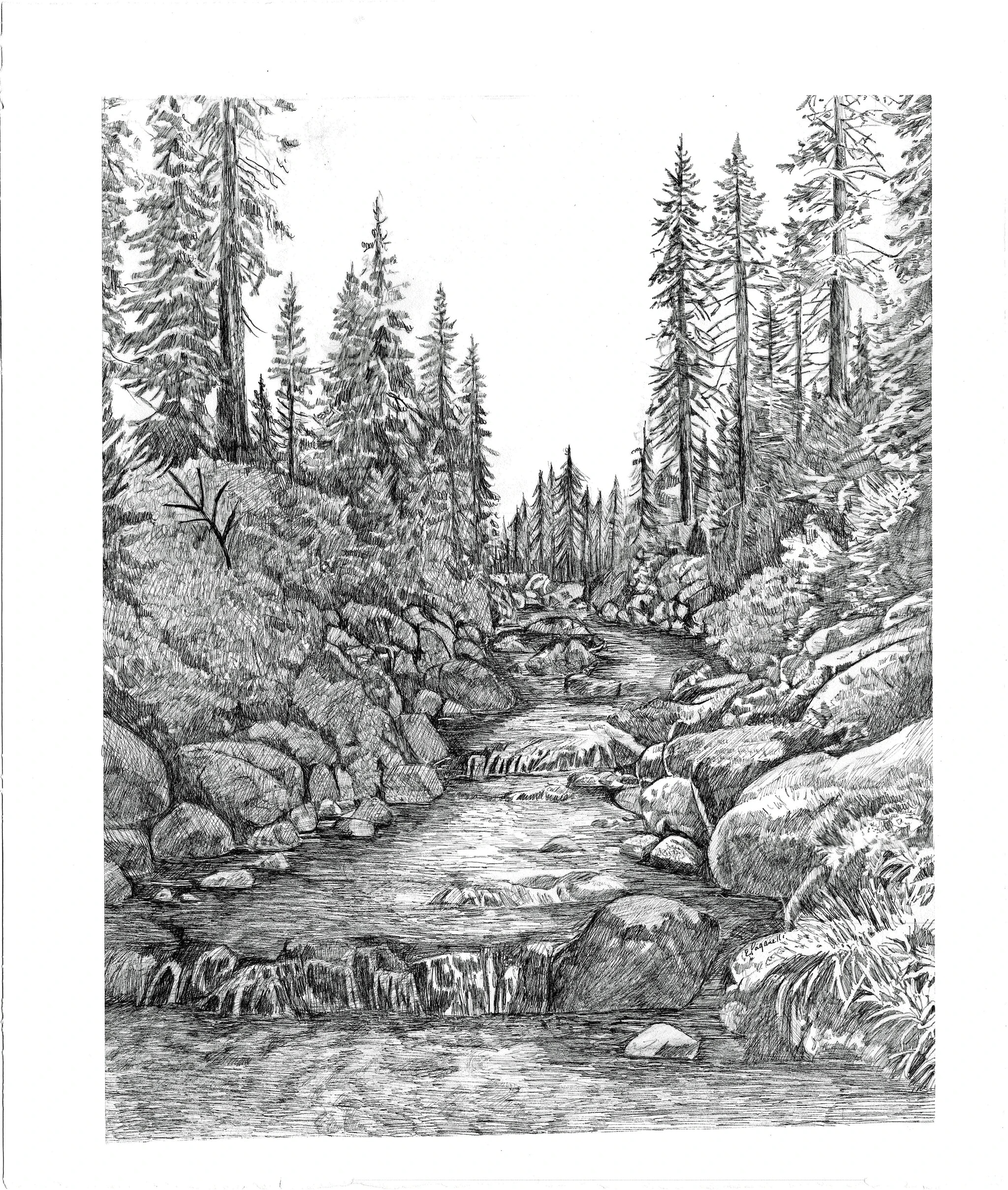 Stream Beneath the Pines