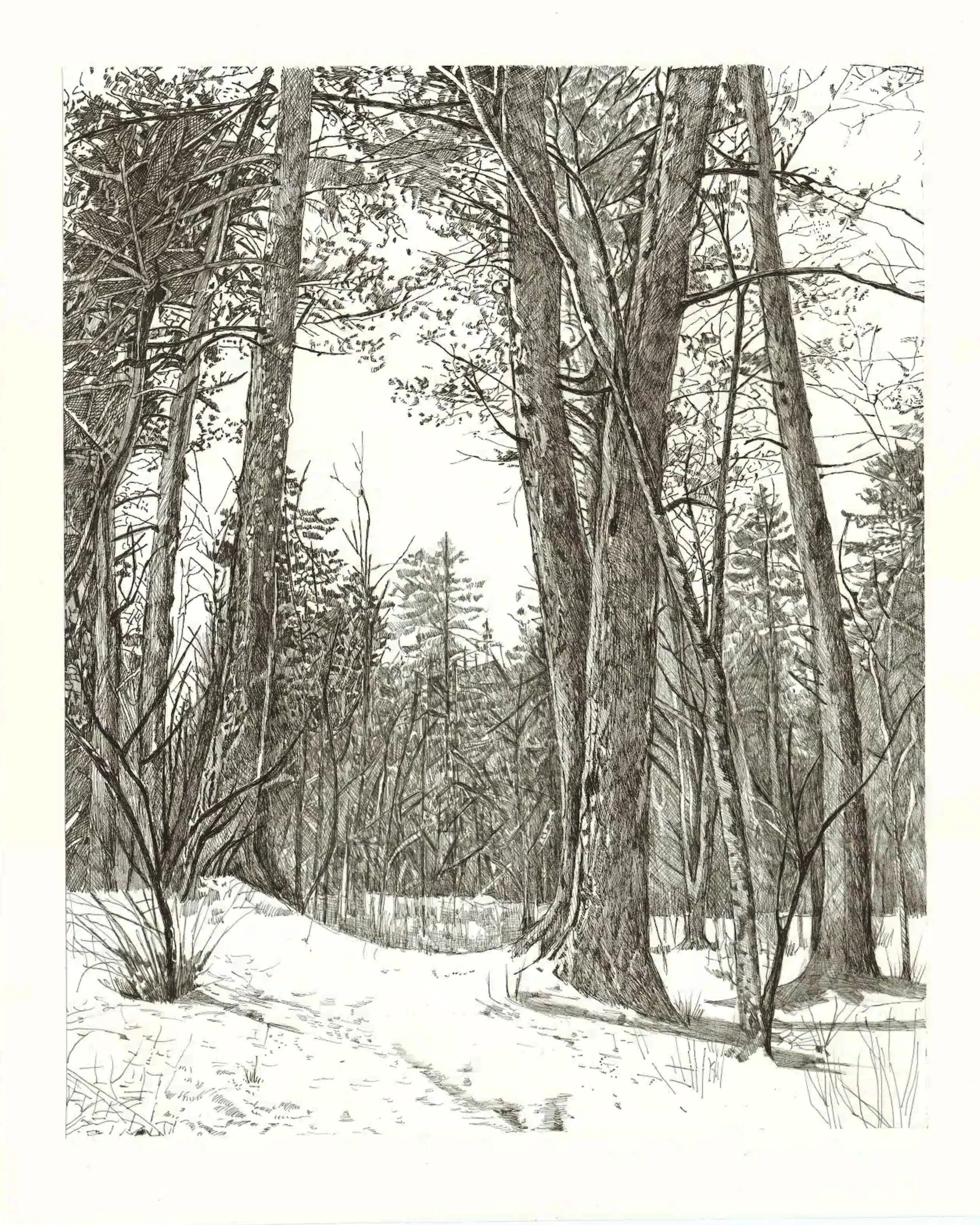 Snowbound Trail