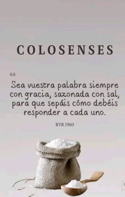 Colosenses 4:6 Salted Grace
