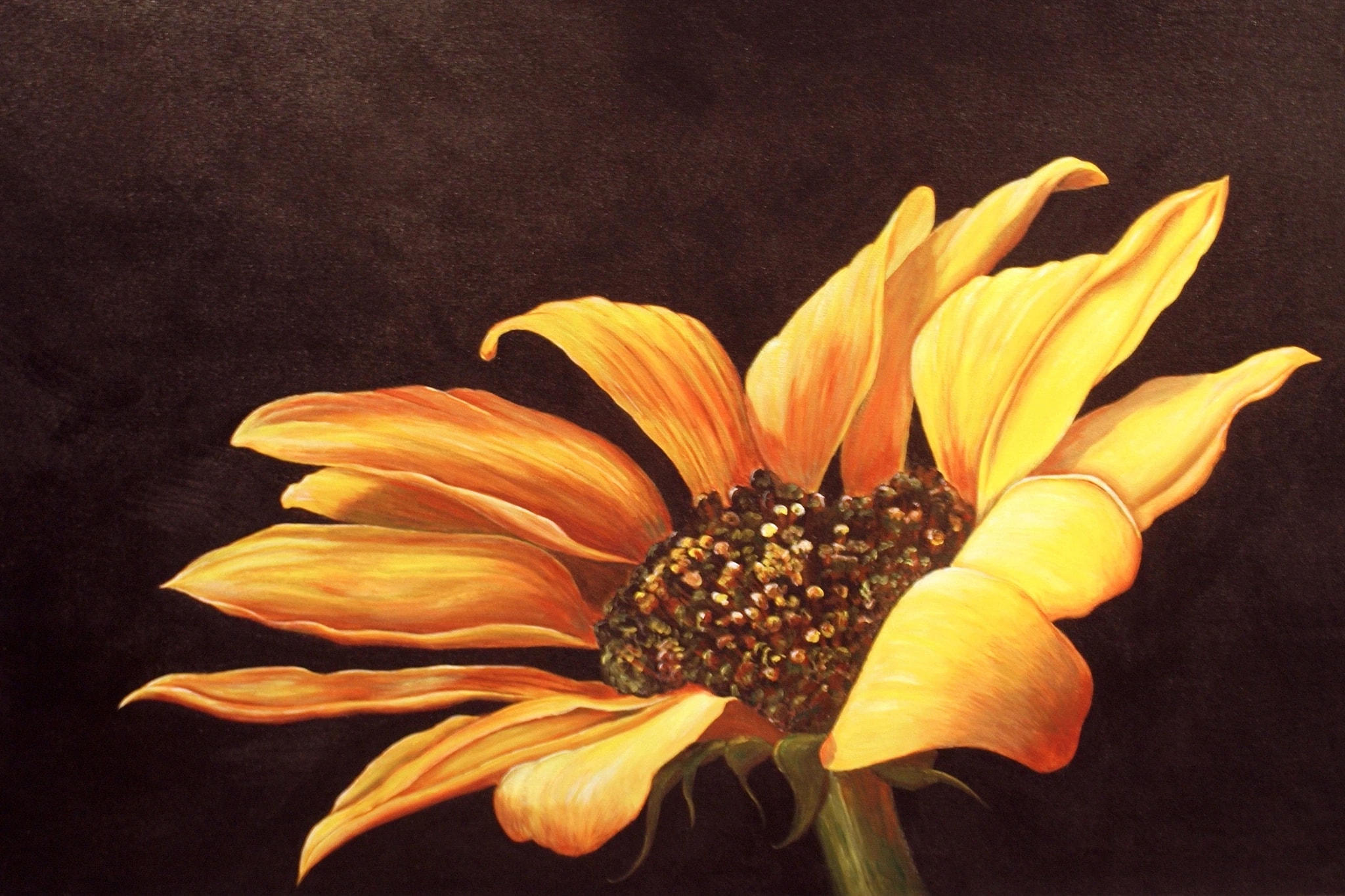 Another Shade of Yellow