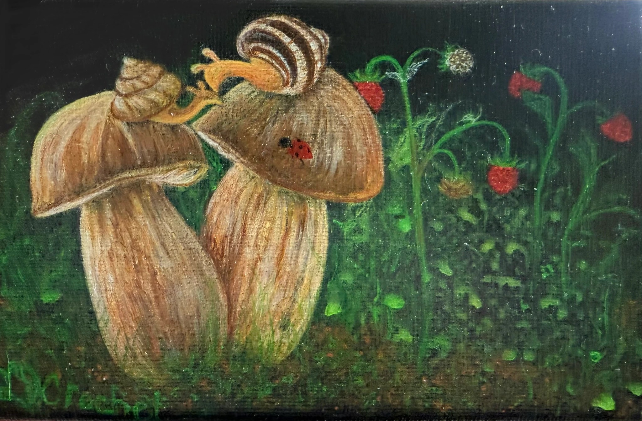 Mushrooms and Ladybug