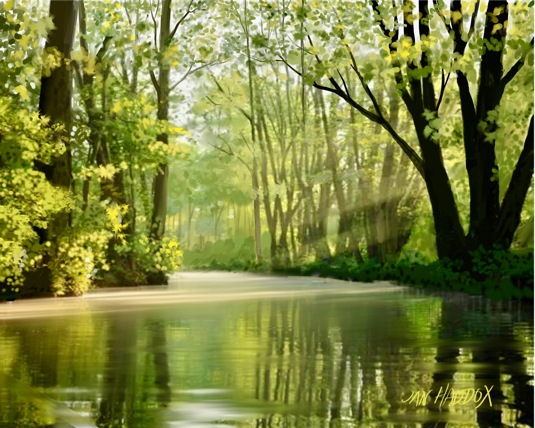 Sunlit Forest River