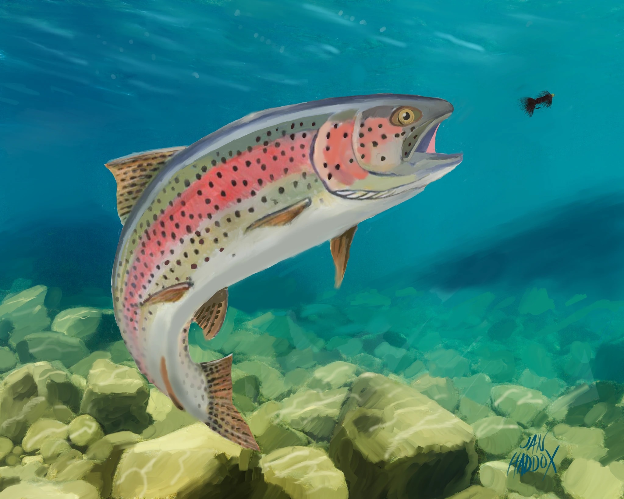 River Trout Rise
