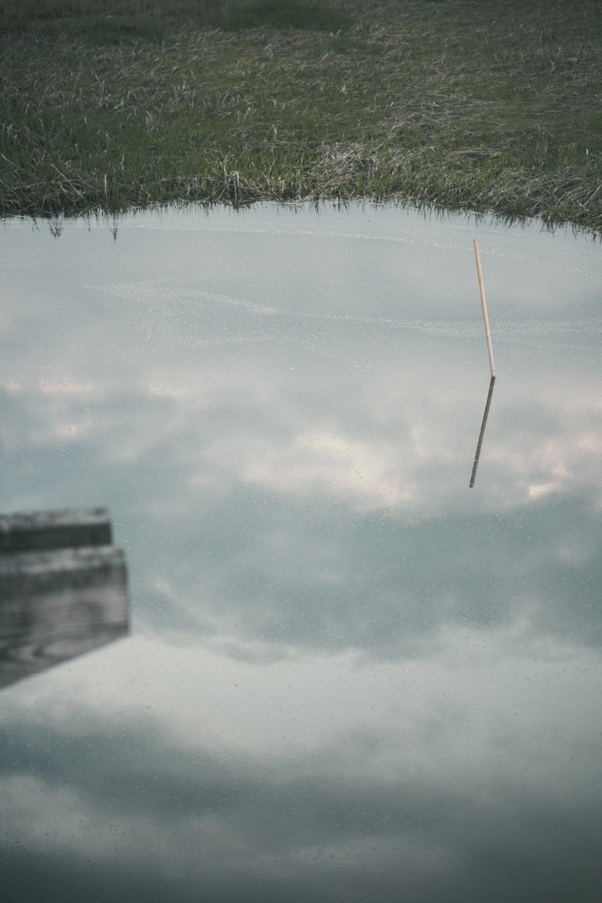 Silent Reflection