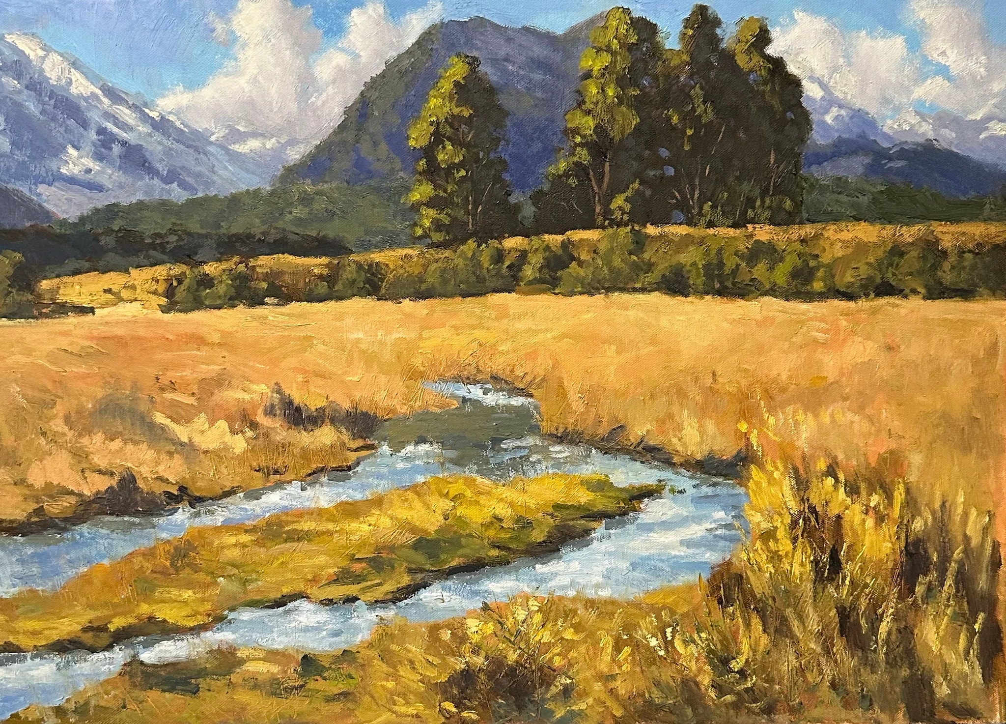 Mountain Meadow River