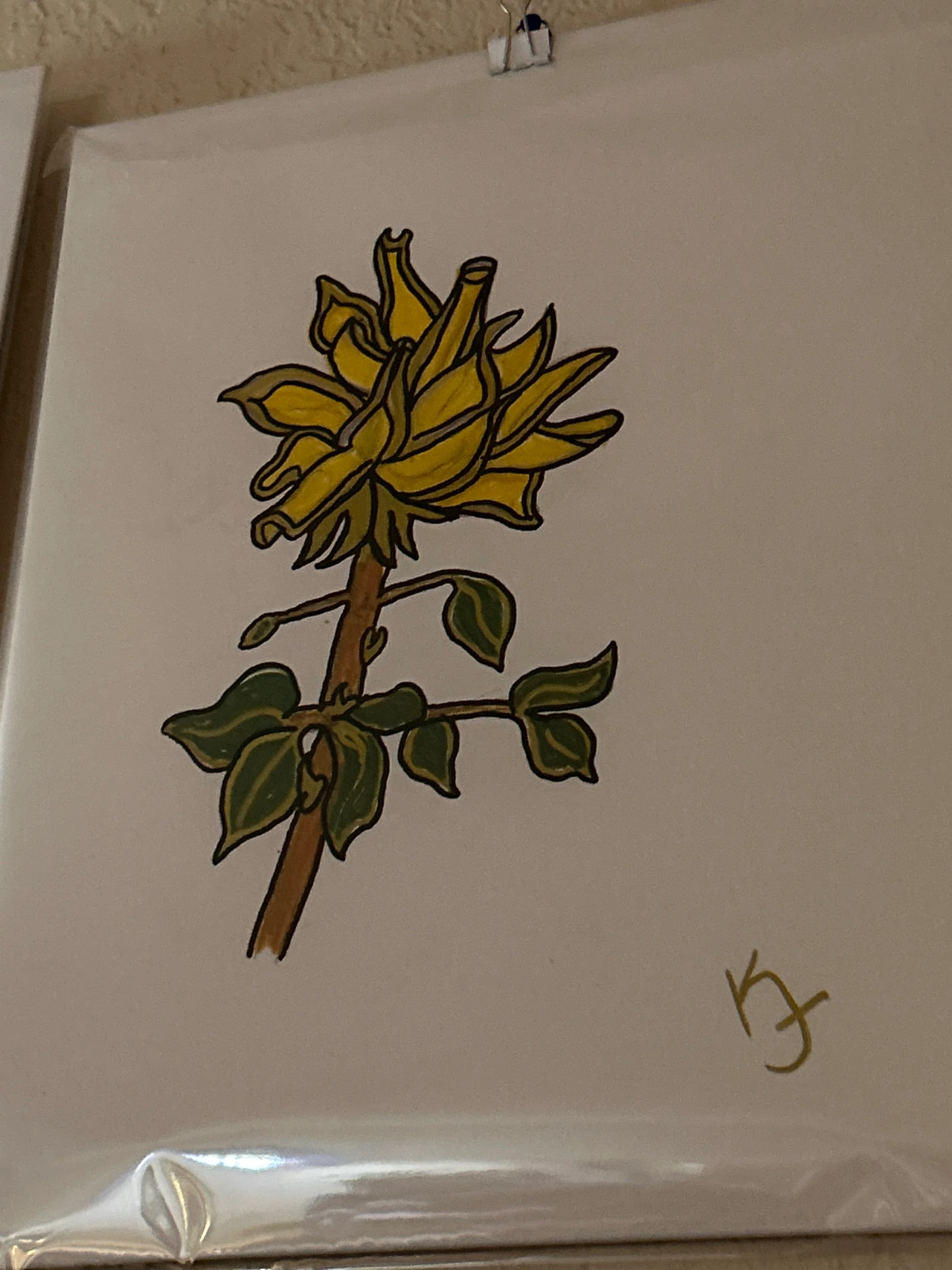 Golden Flower