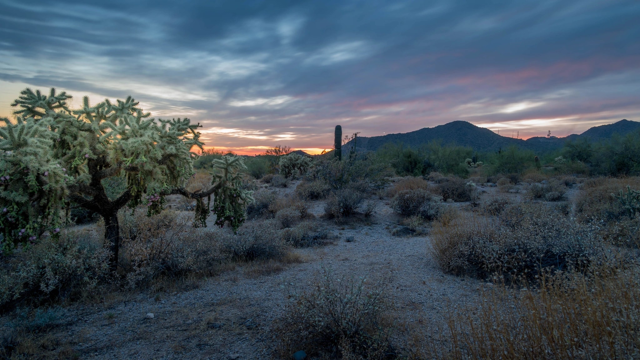 Desert Path at Dusk