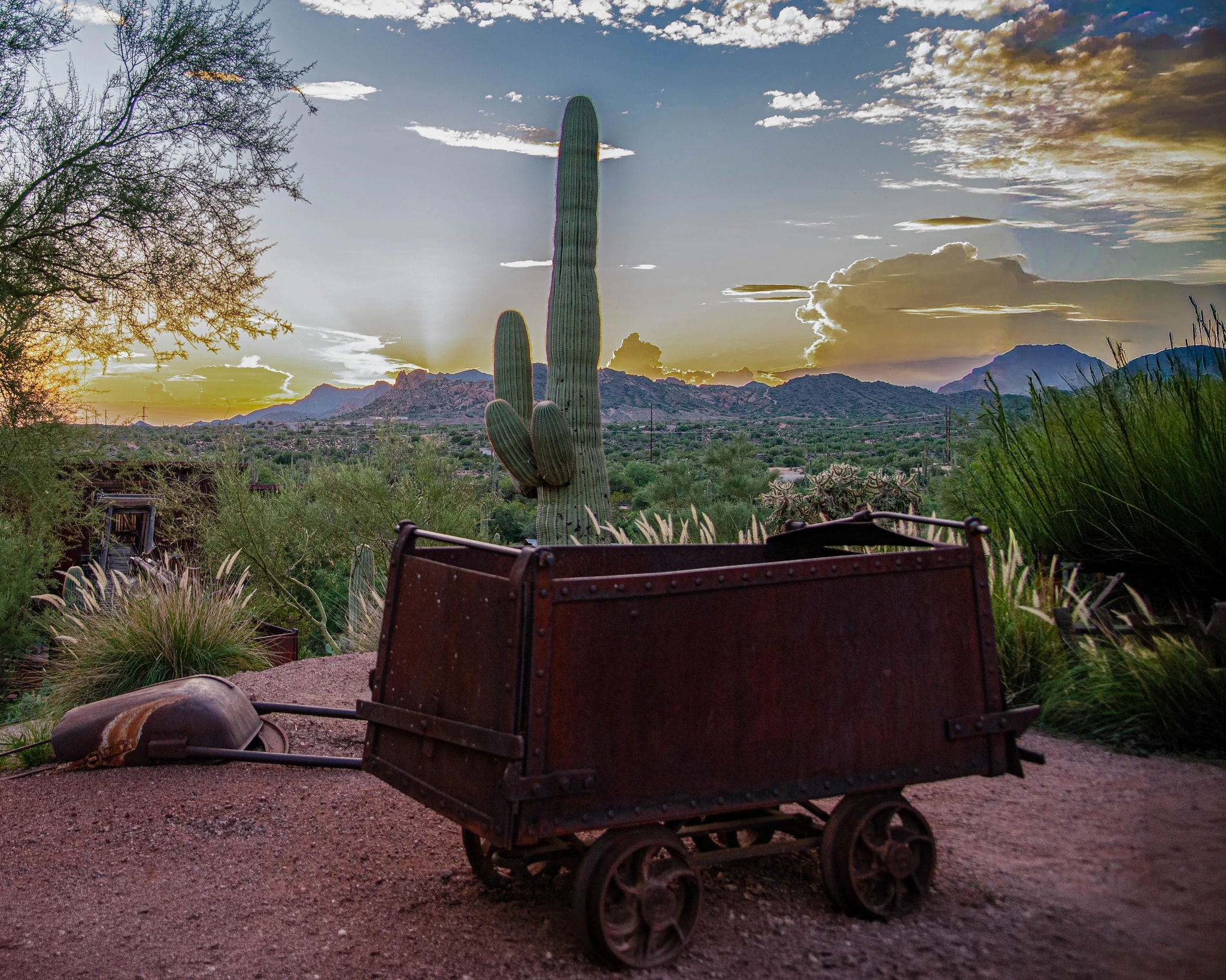 Desert Passage