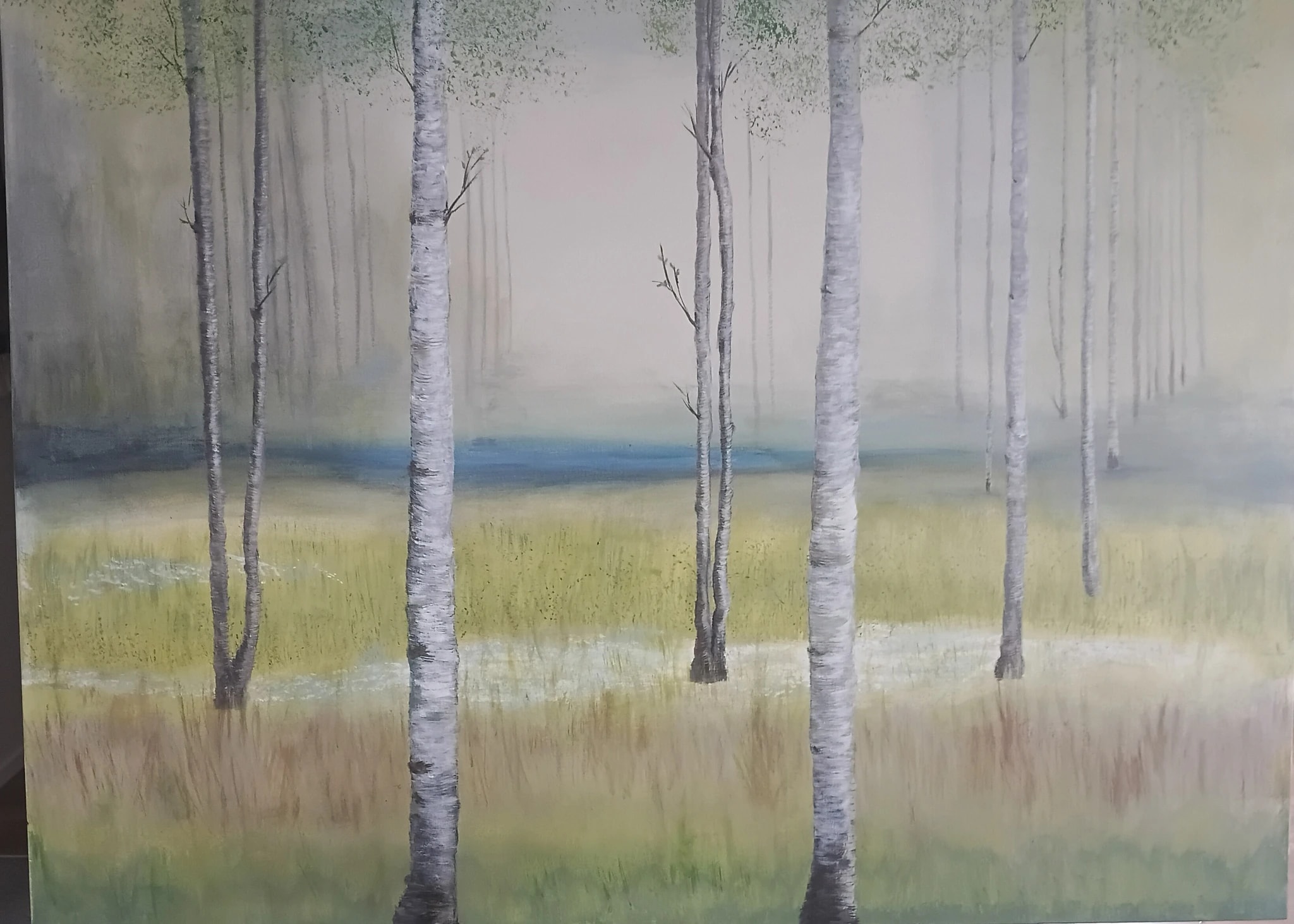 Misty Birch Grove