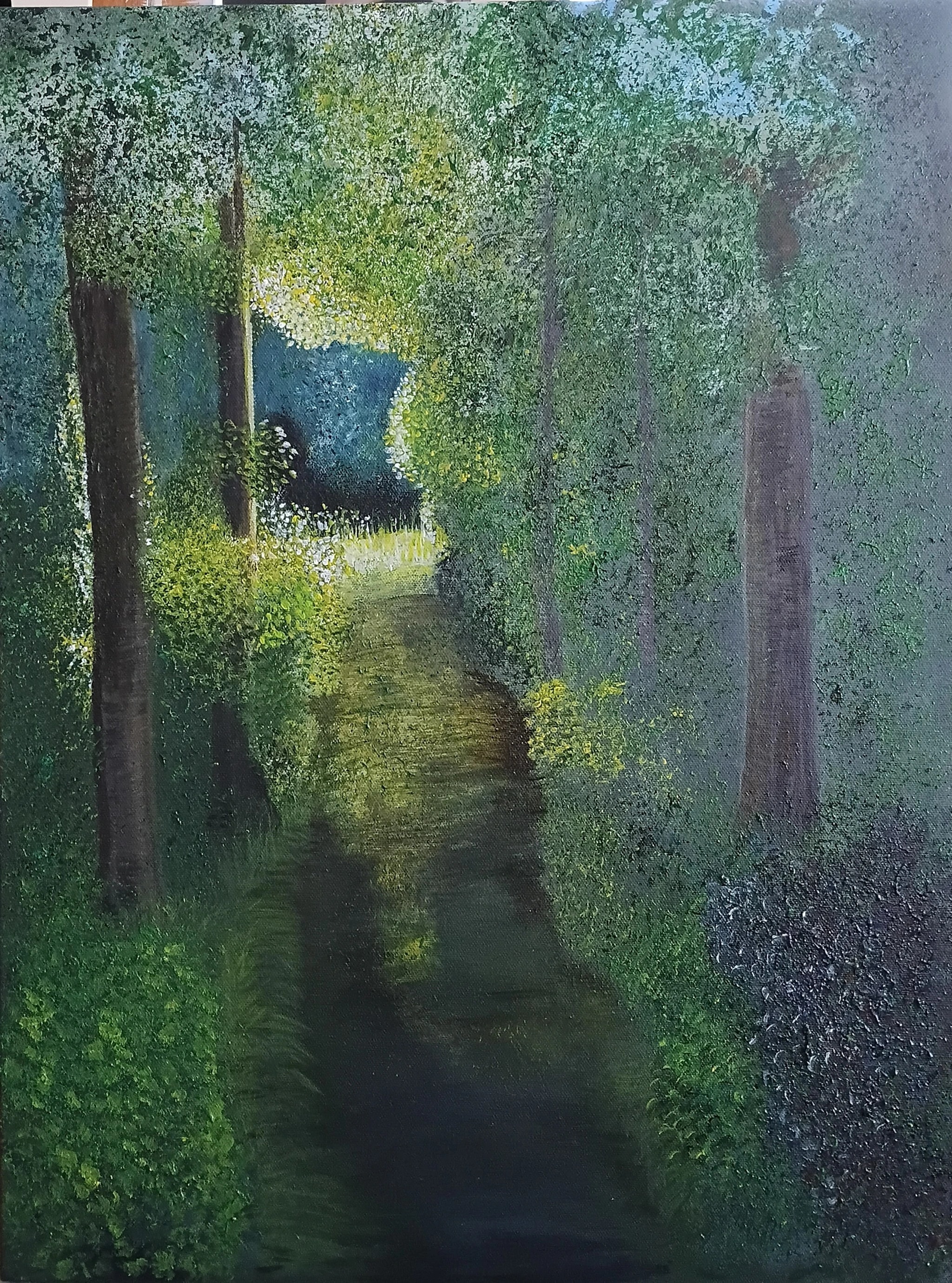 Shady Forest Walk