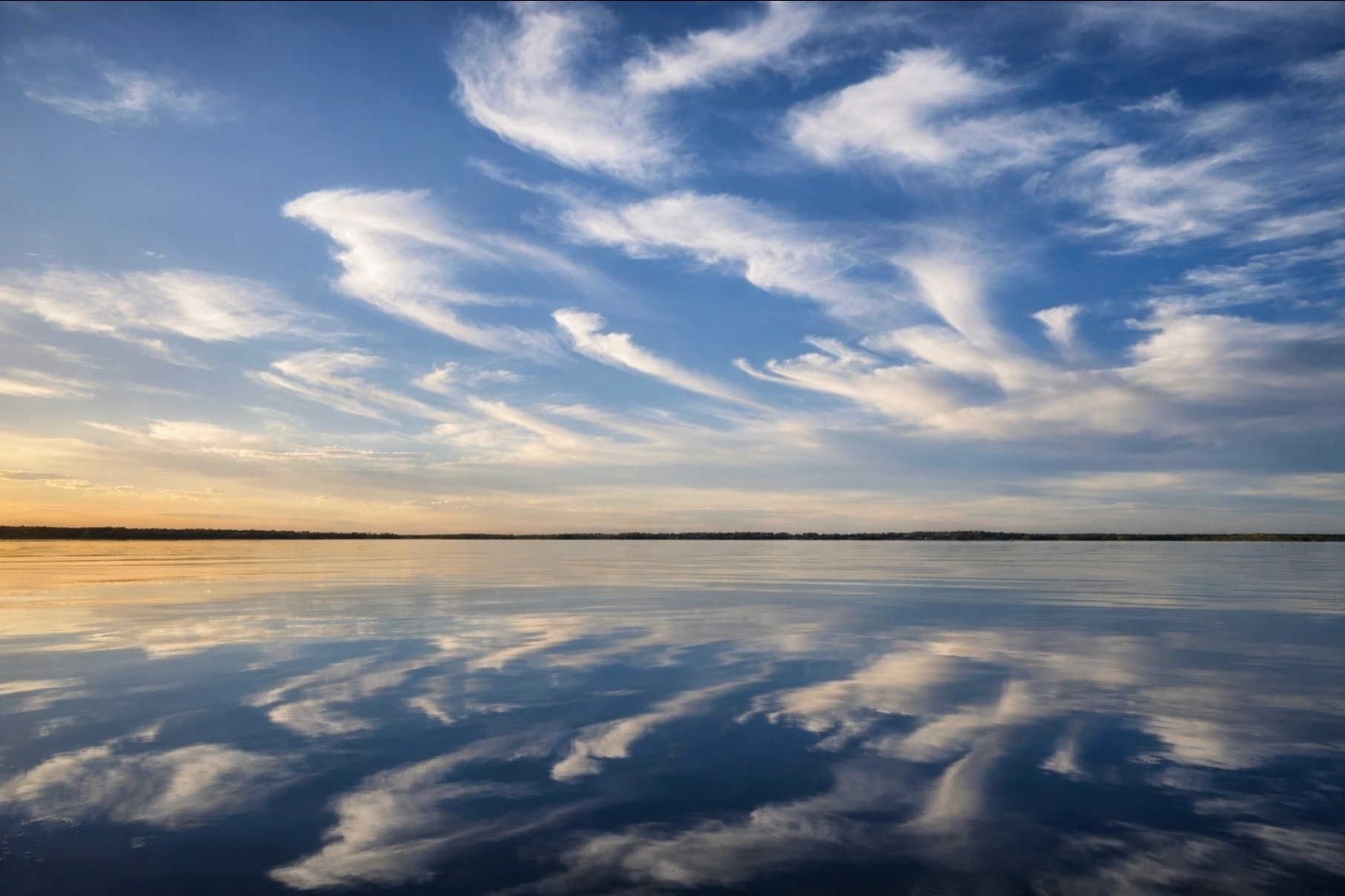 Mirrored Horizon