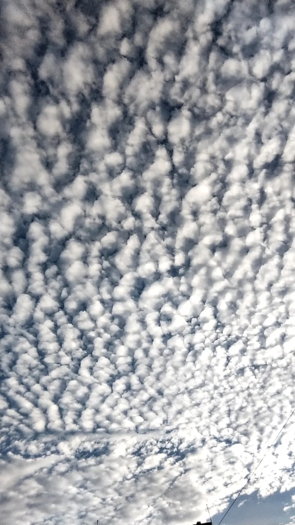 Cloudfield in Blue-Gray