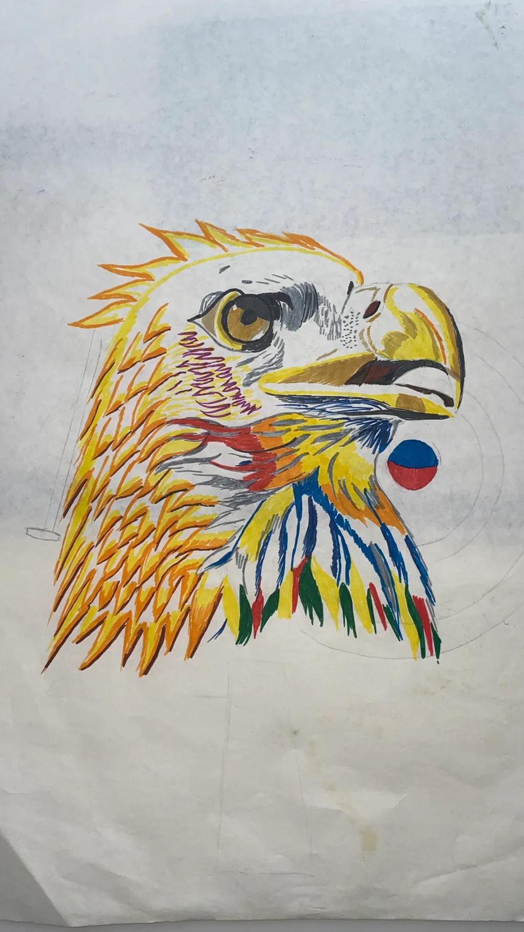 Colorful Eagle Portrait