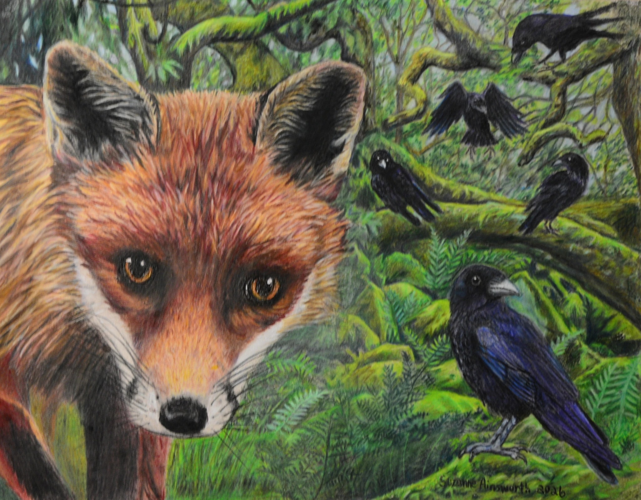 A Fox and a Murder