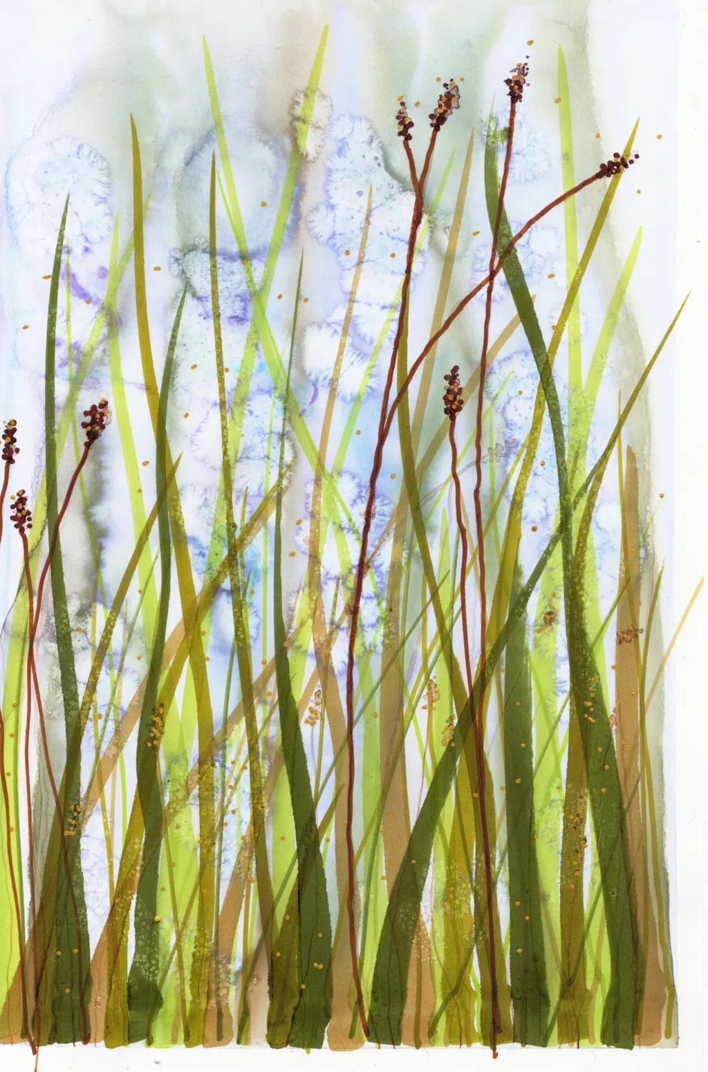 Pond Shore