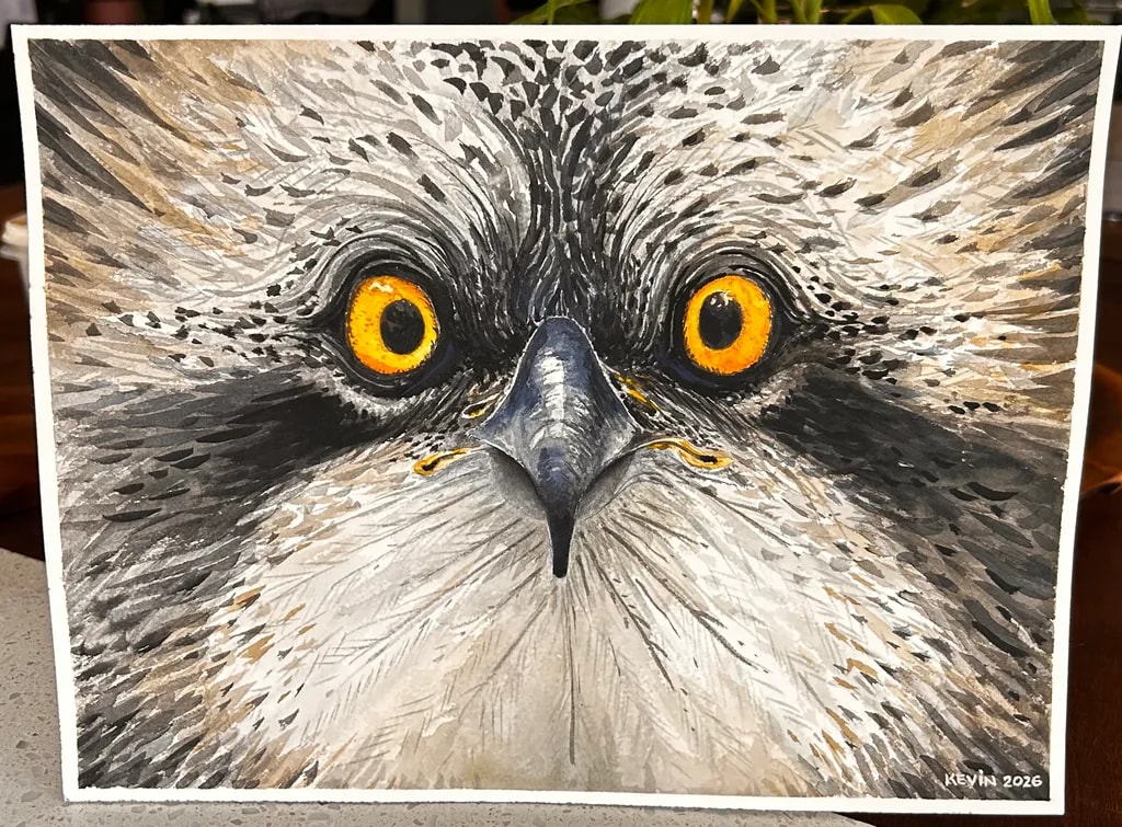 Golden Gaze