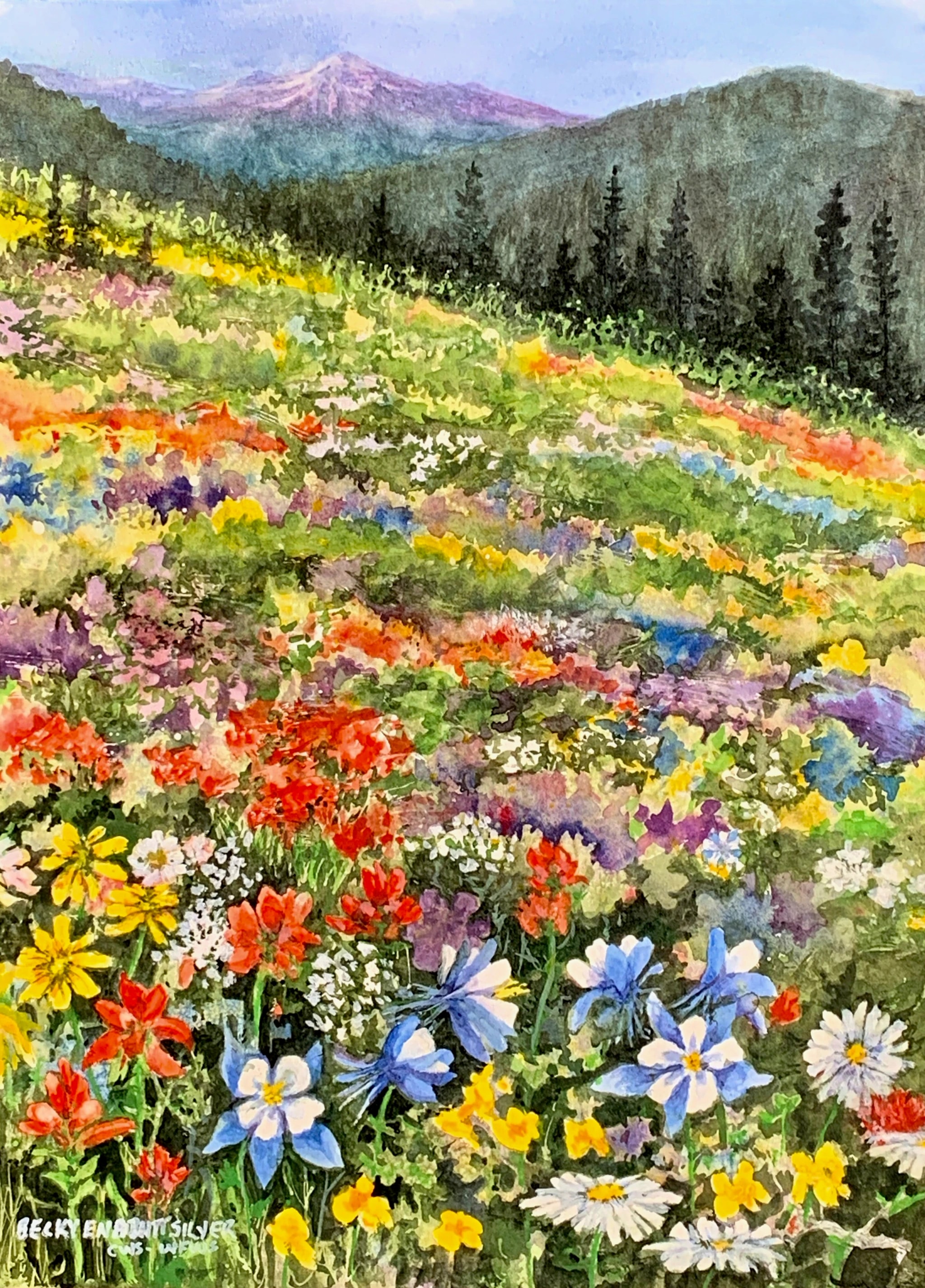 Mountain Medicine