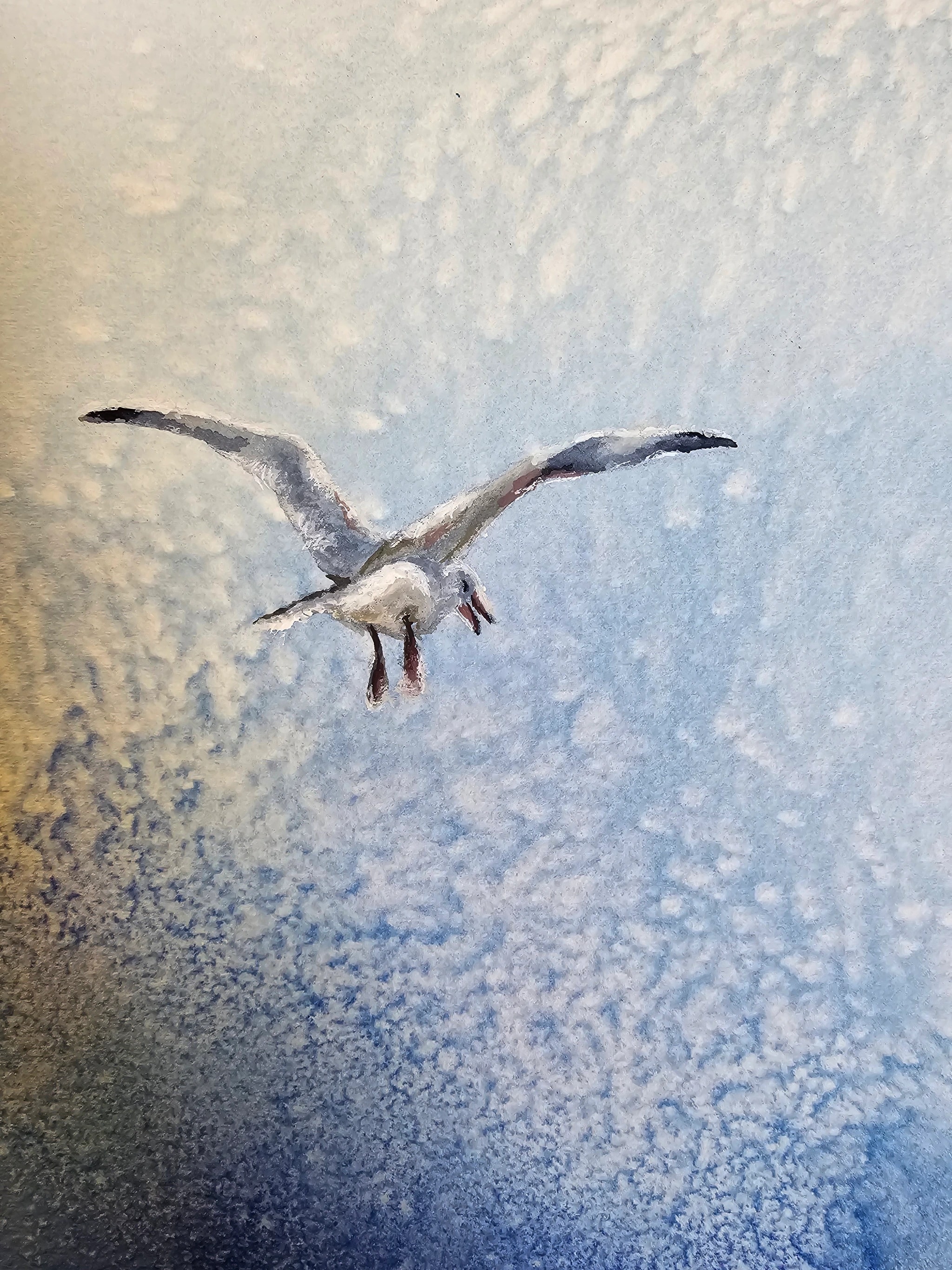 Soaring Solitude