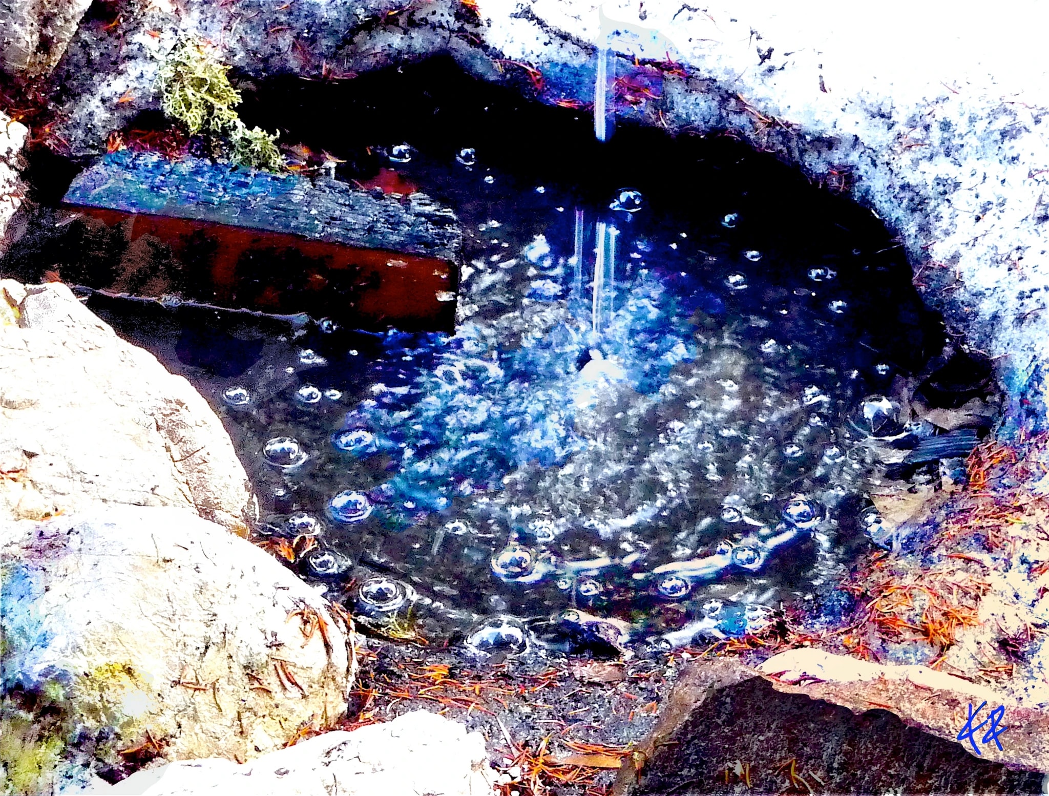 Alpine Spring Water II