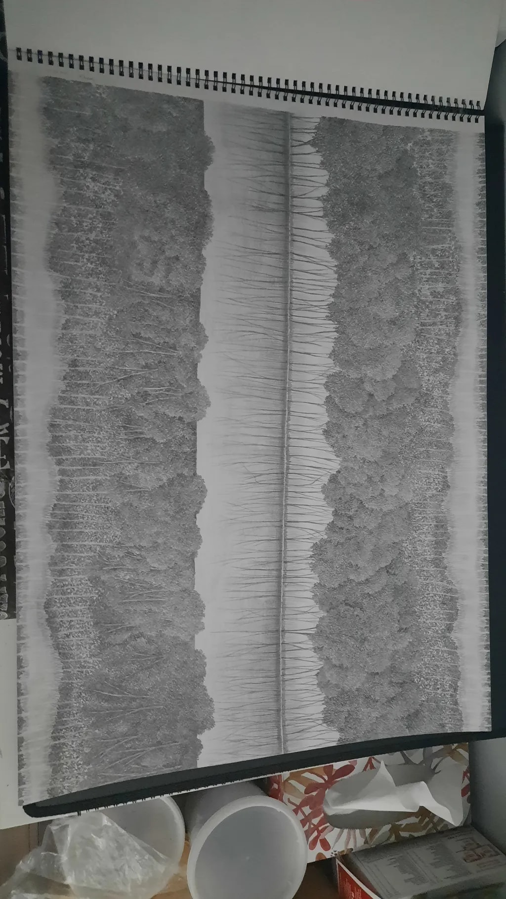 Forest Divide