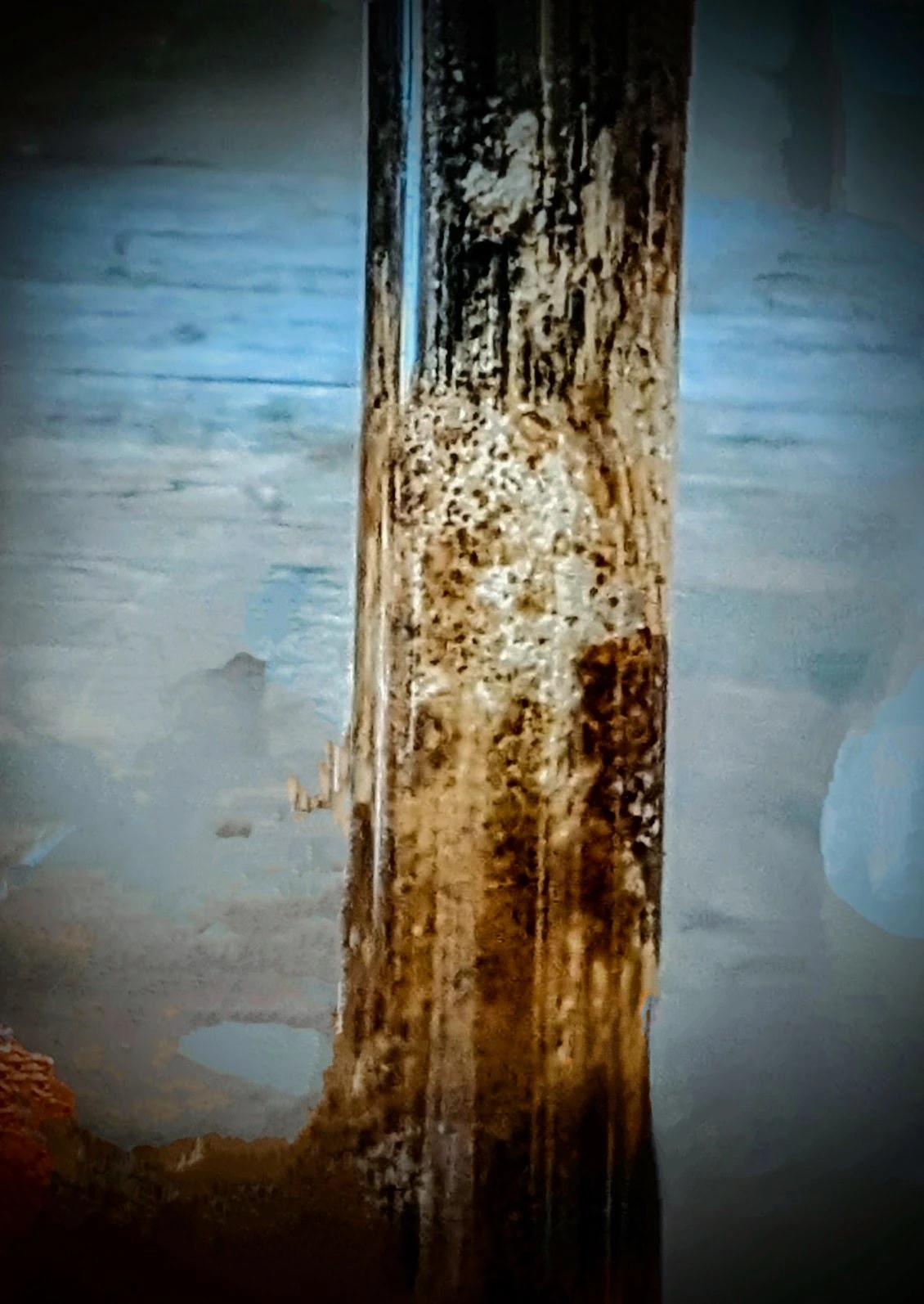 Weathered Timber Study