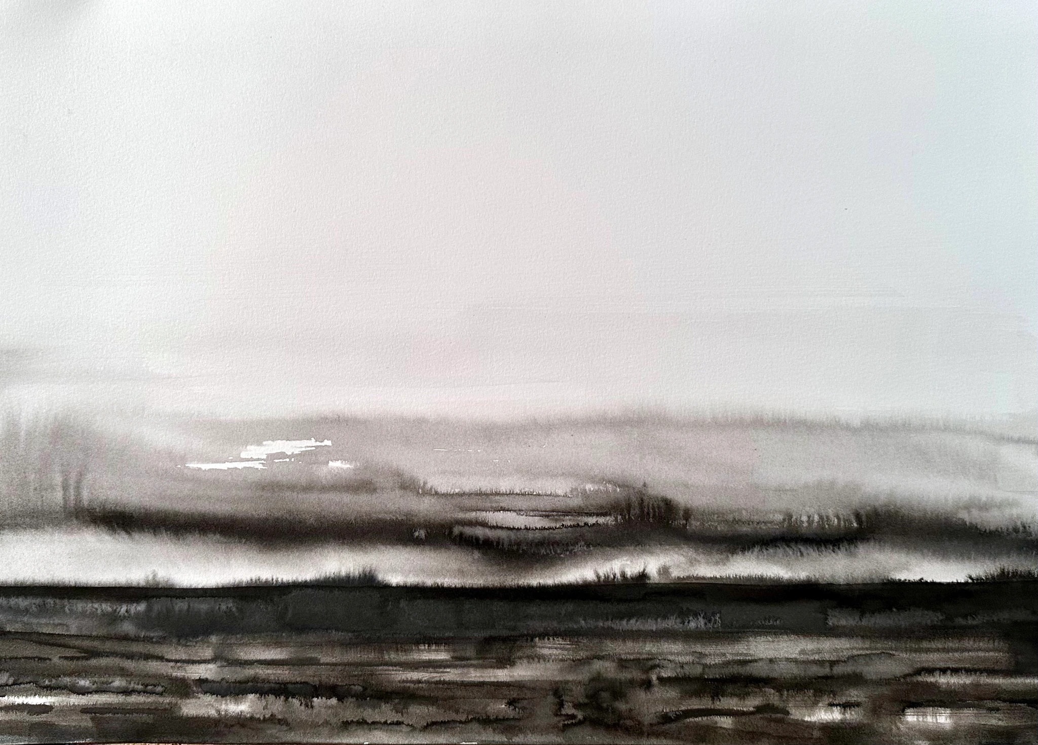 Winter Field