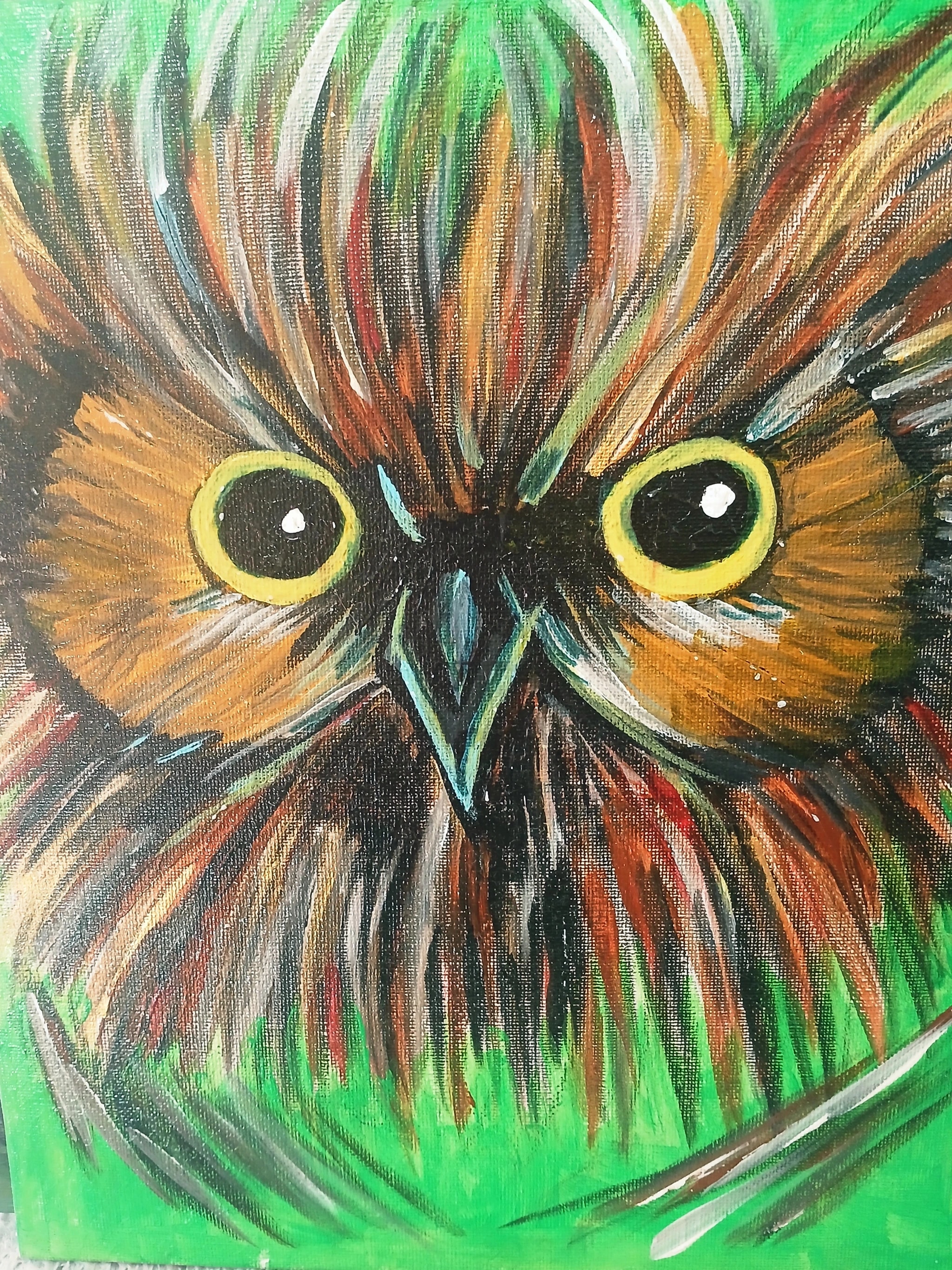 Owl in Radiant Feathers