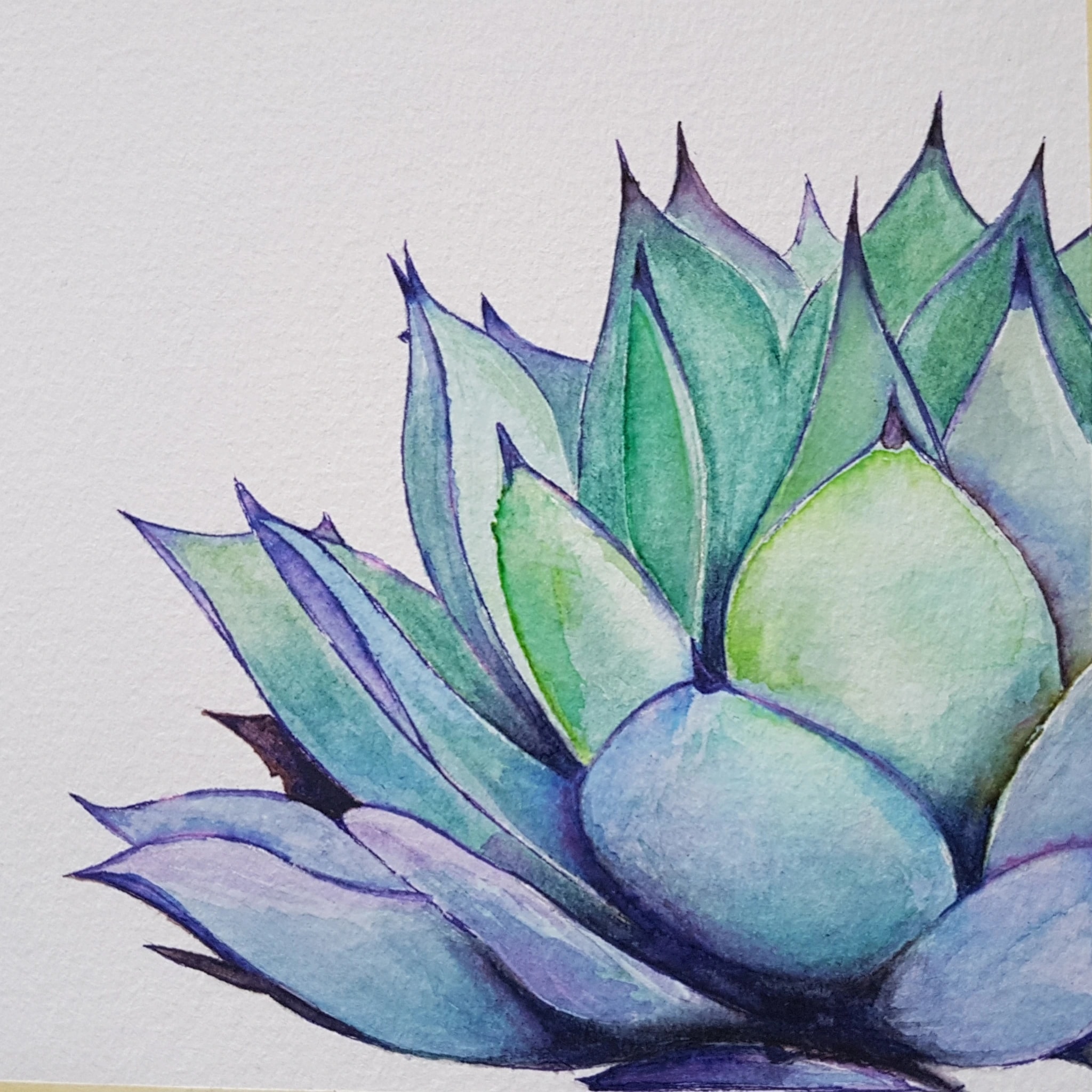 Succulent Layers