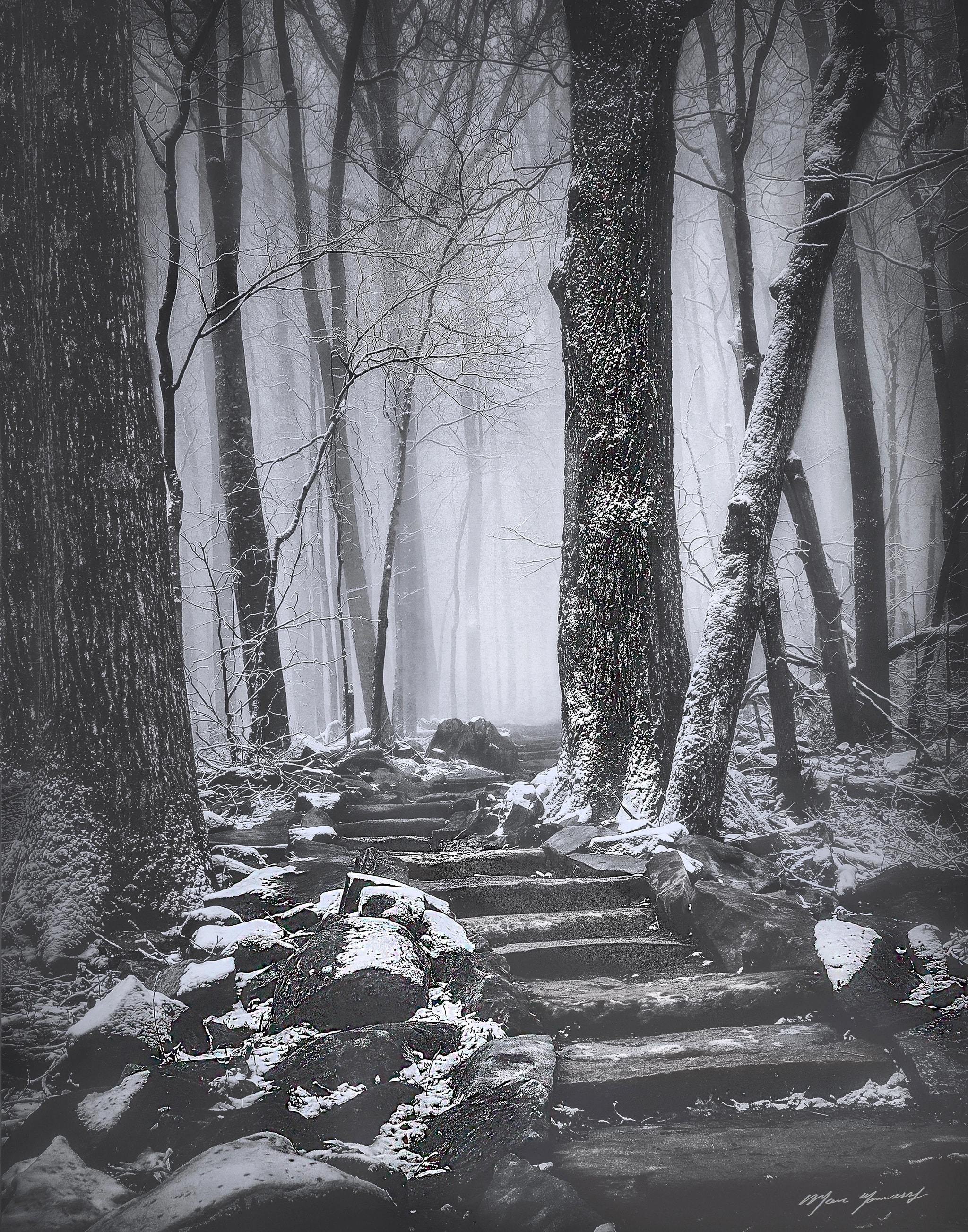 Murky 
