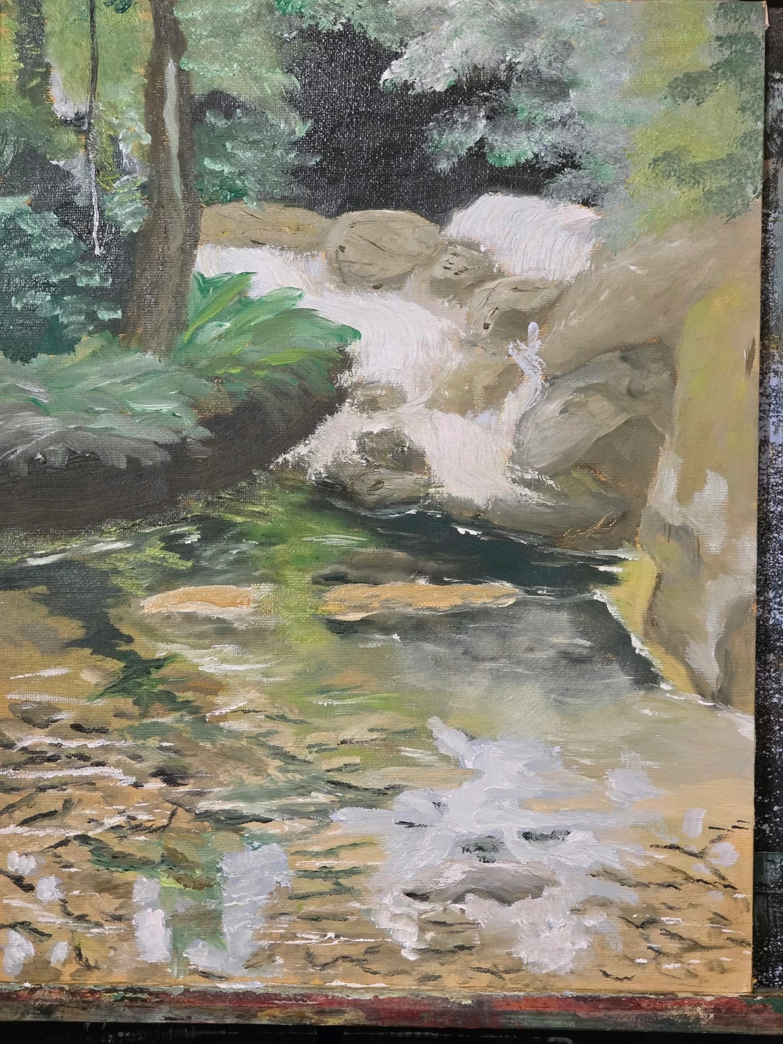 Forest Waterfall Rocks